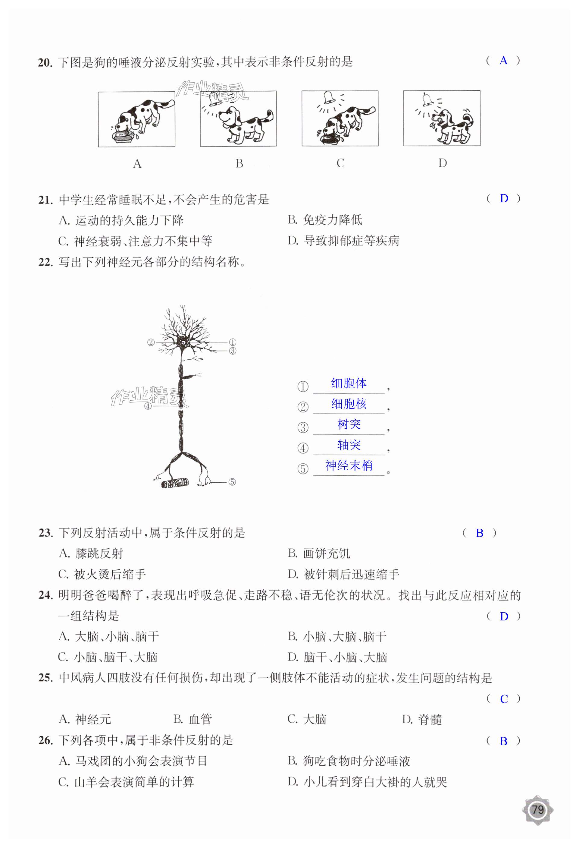 第79頁(yè)