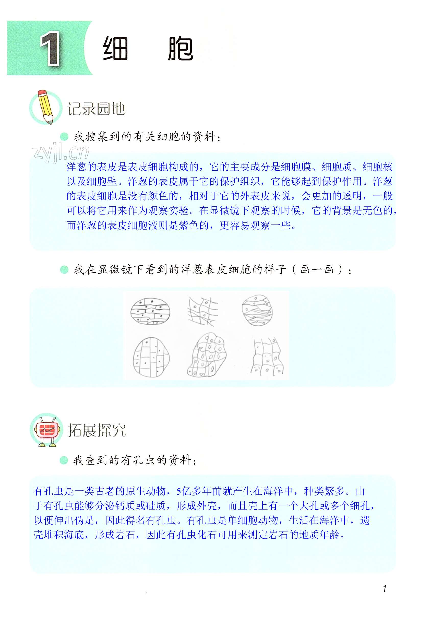 2022年學(xué)生活動手冊六年級科學(xué)上冊青島版 第1頁