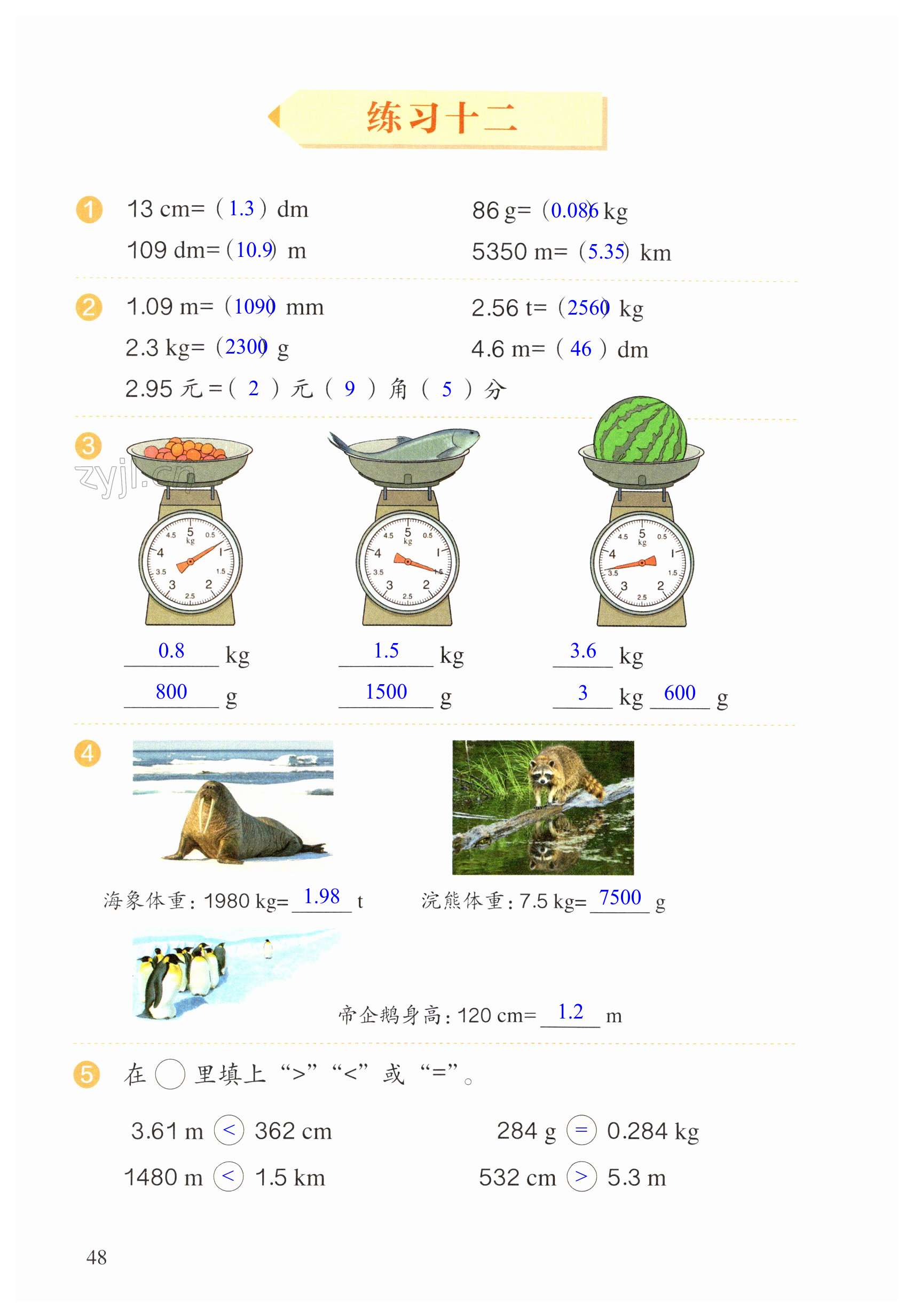 第48页