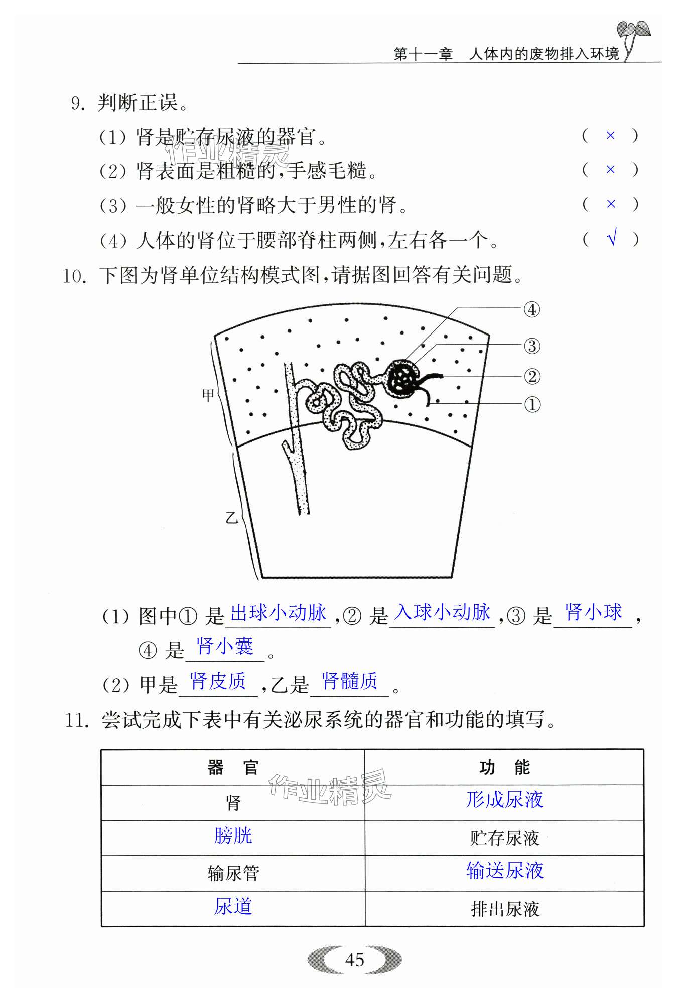 第45页