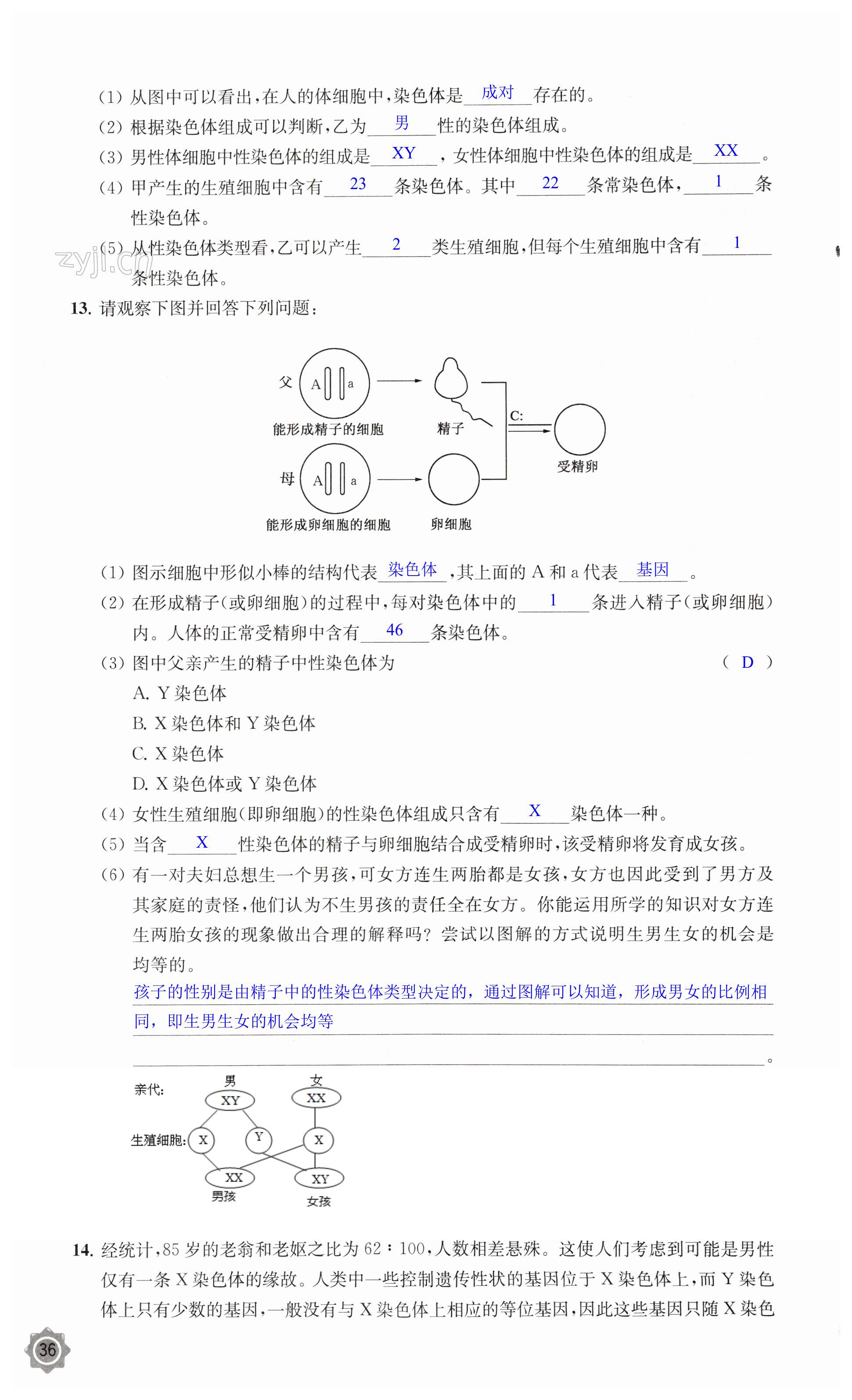 第36頁