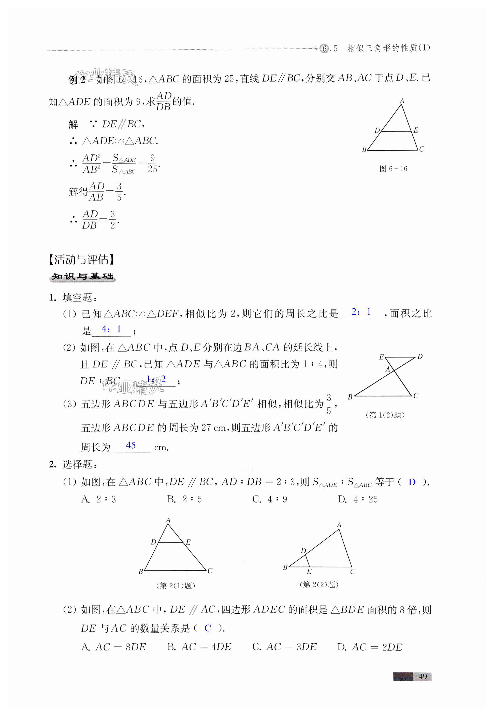 第49頁