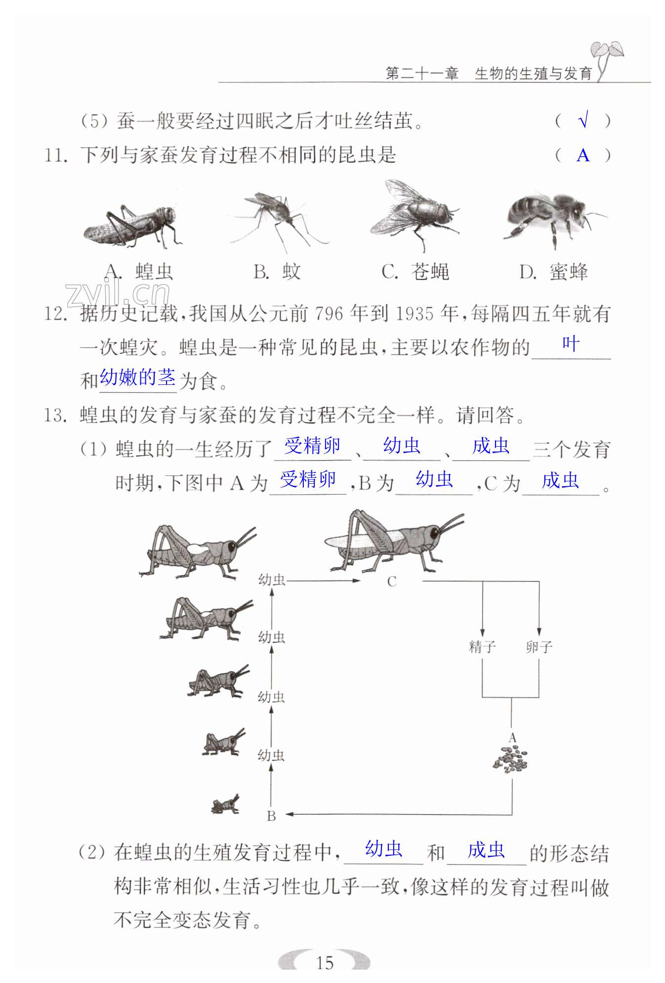 第15頁(yè)