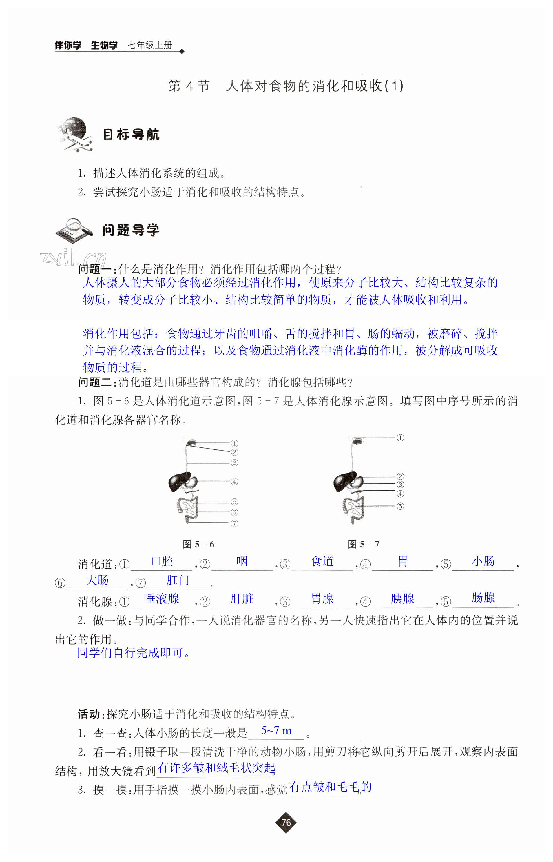 第76页