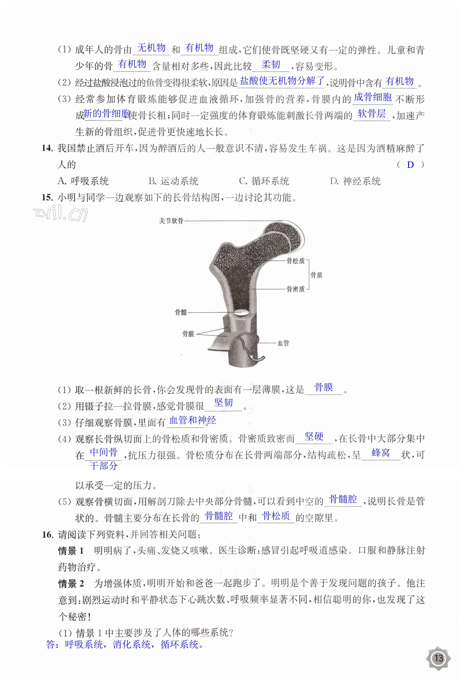 第13页