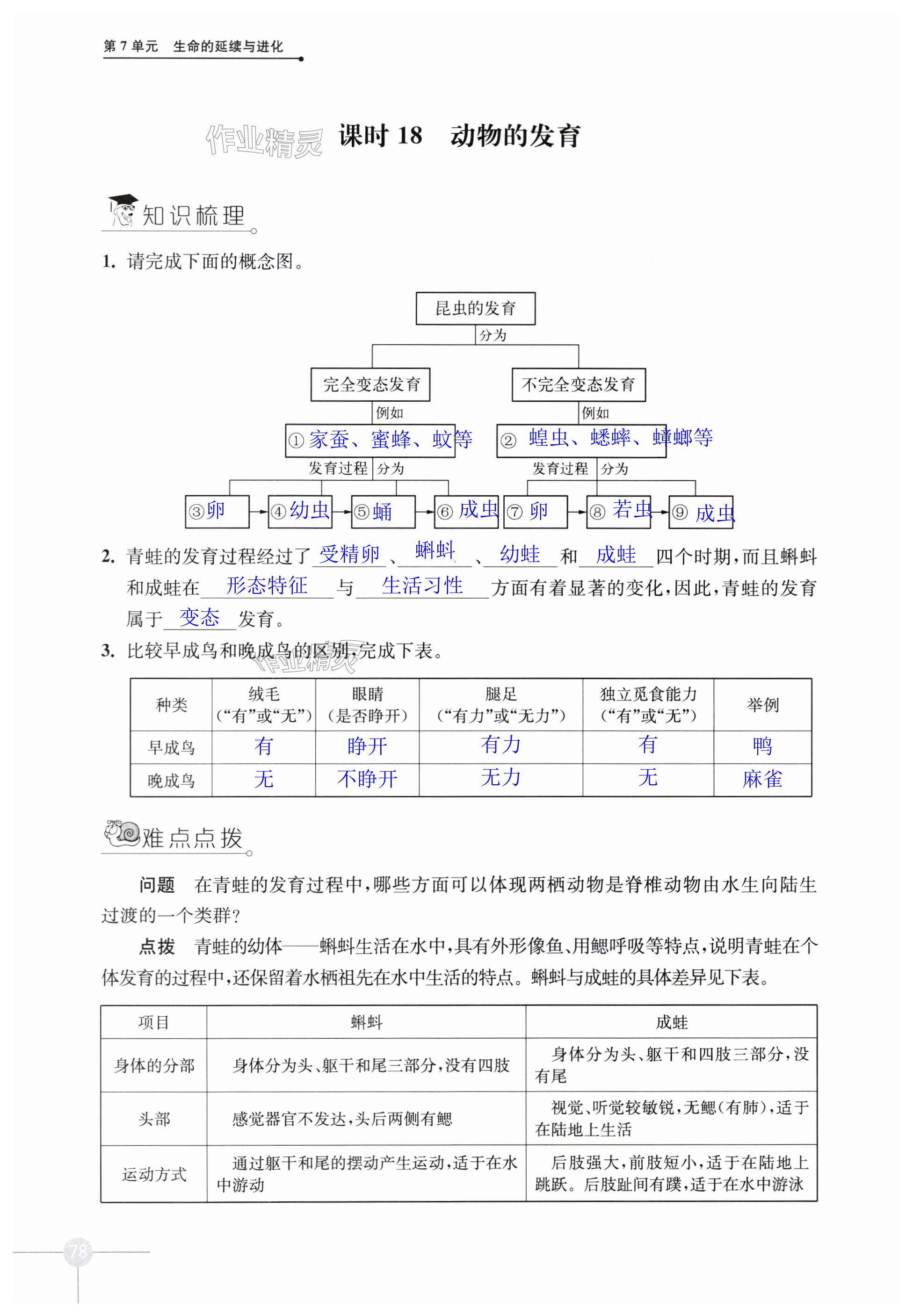 第78頁(yè)