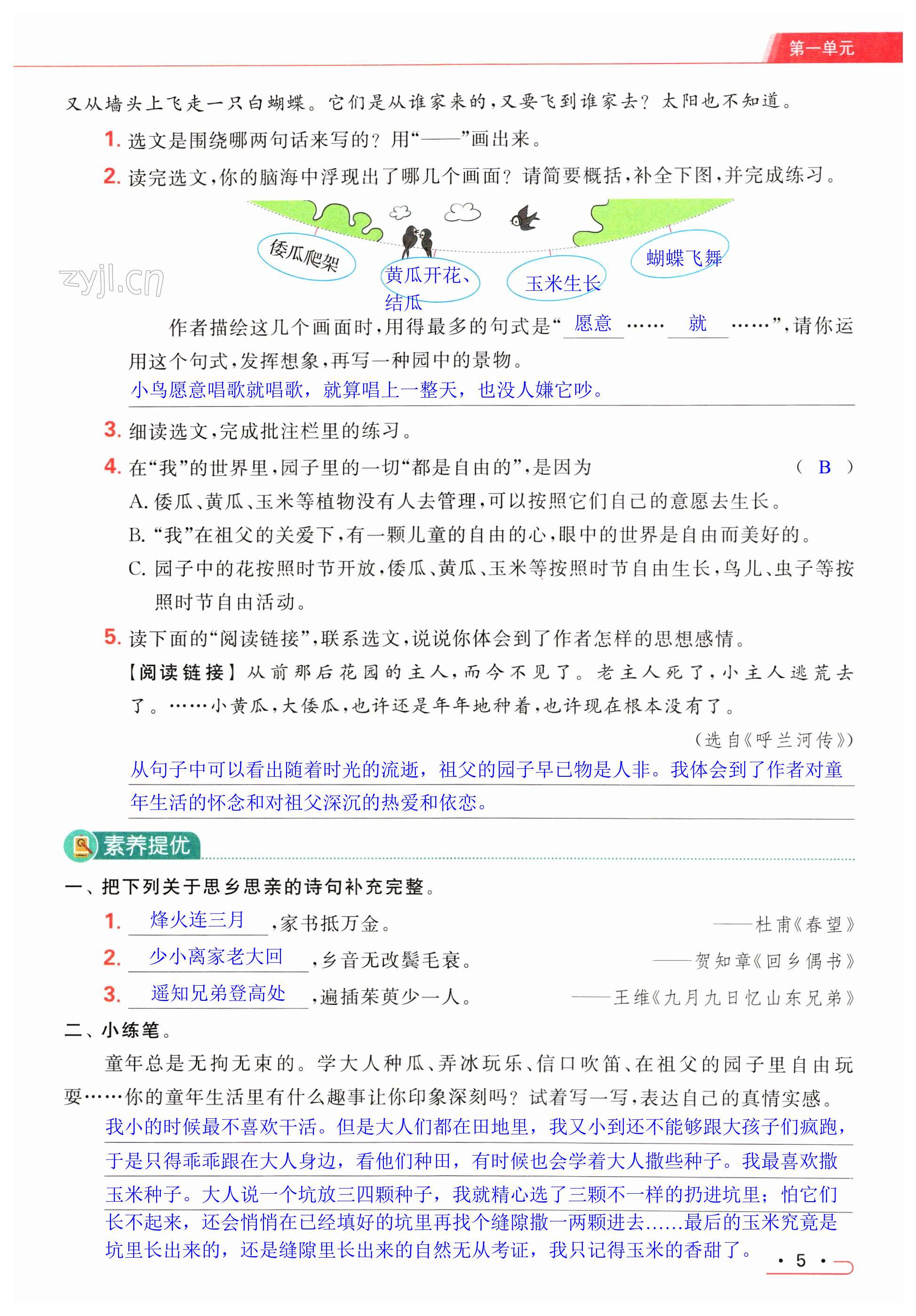 第5页