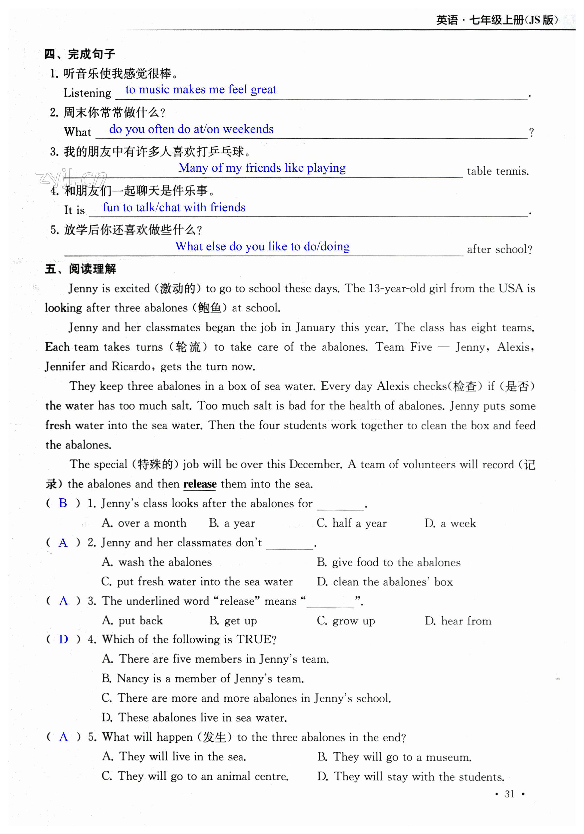 第31页