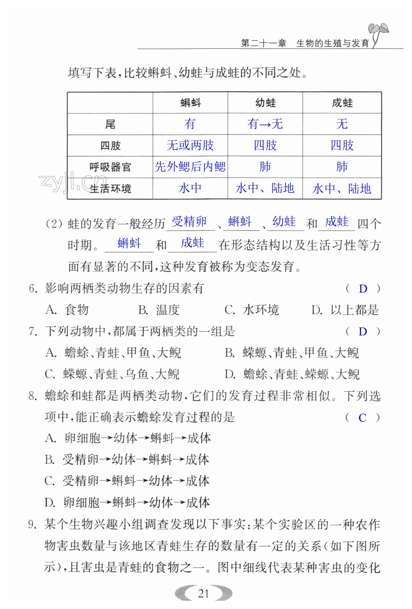 第21頁