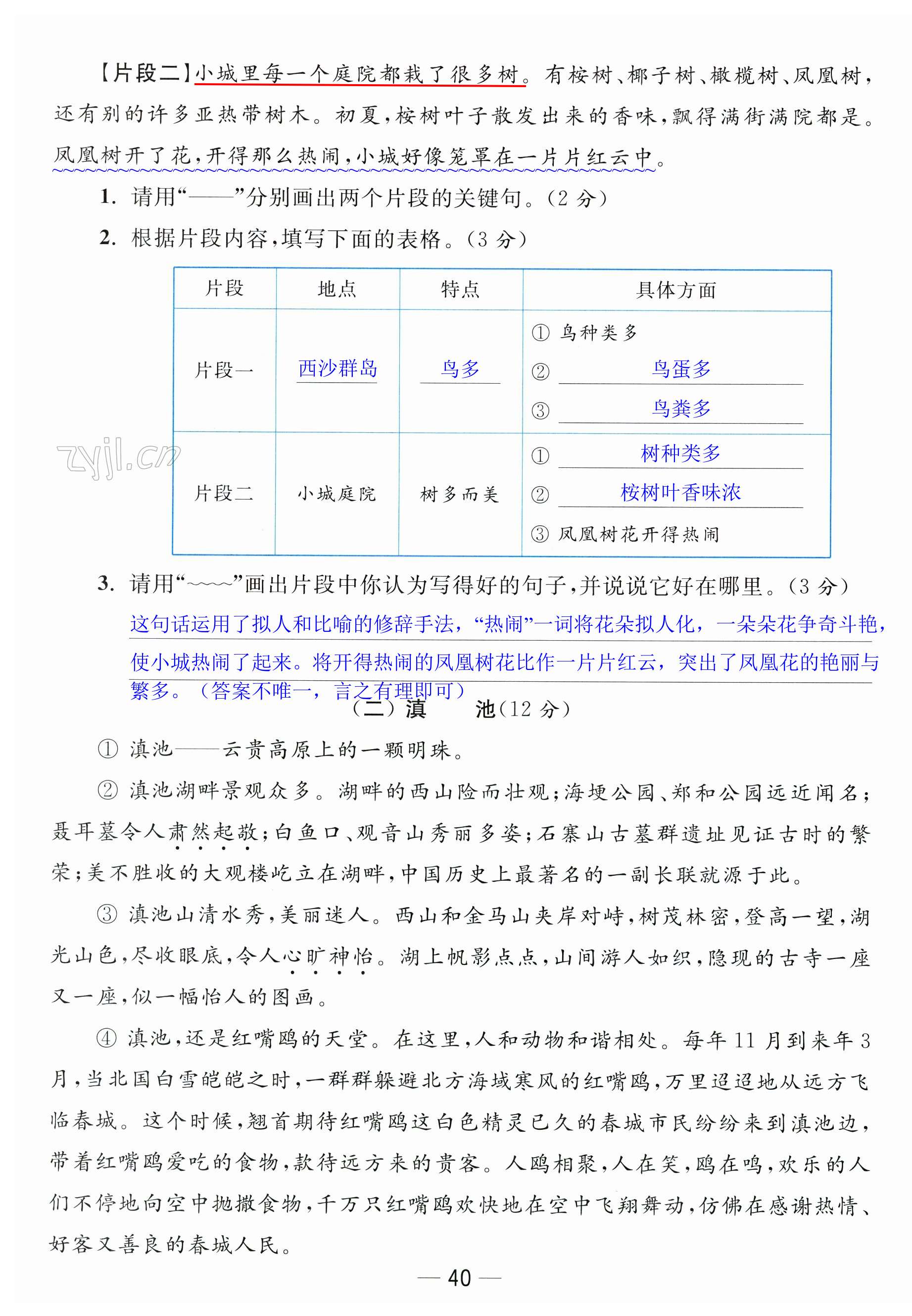 第40页