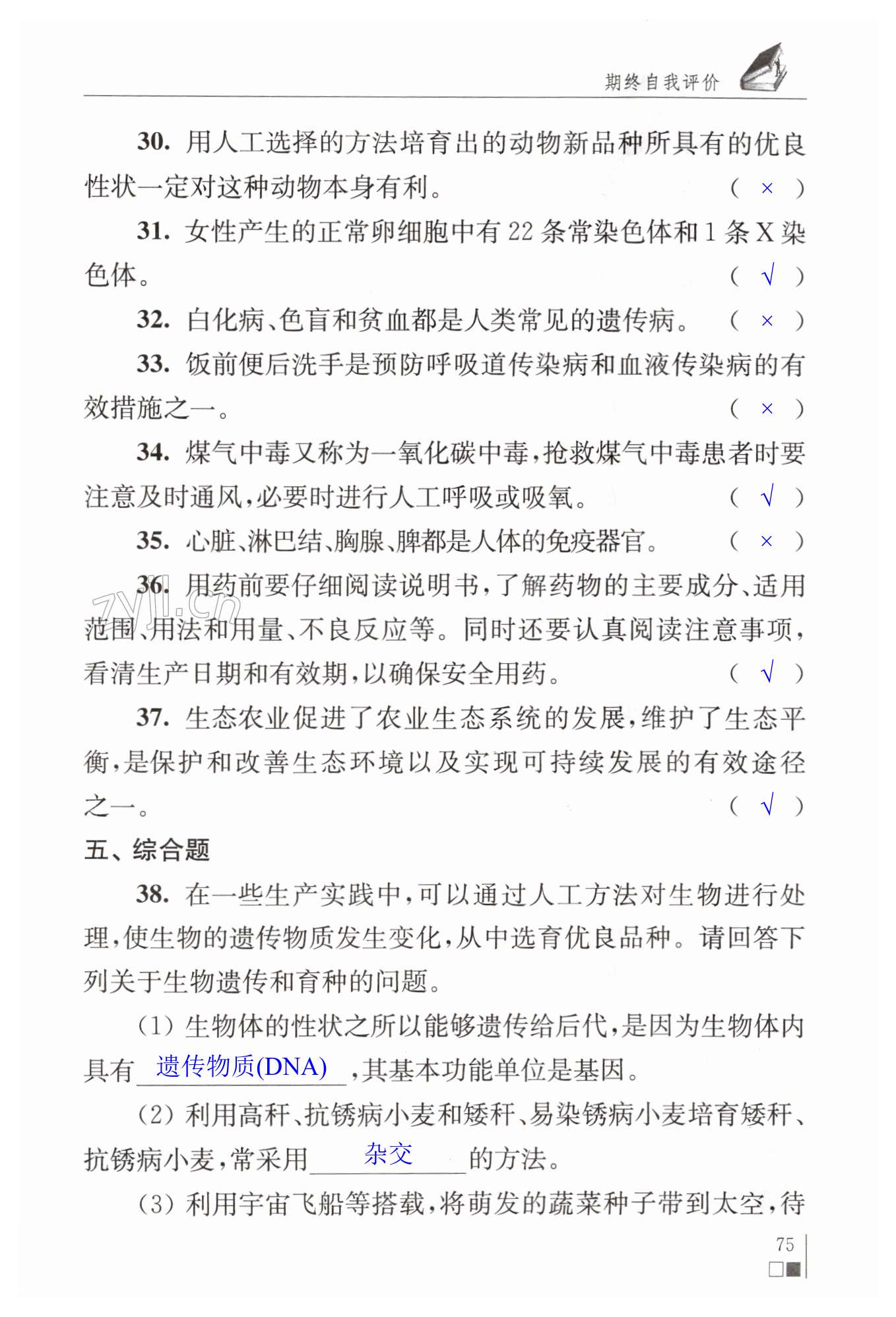 第75页