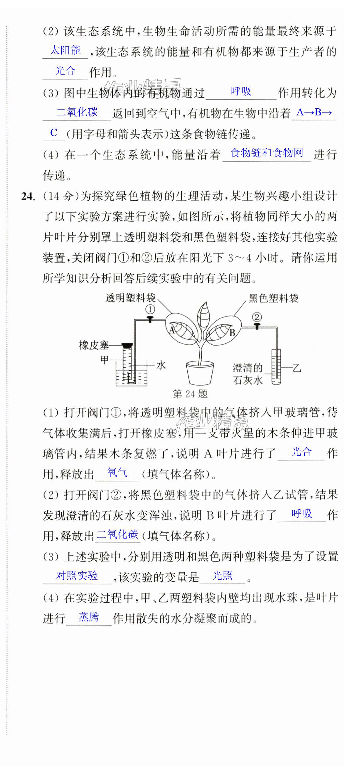 第18頁