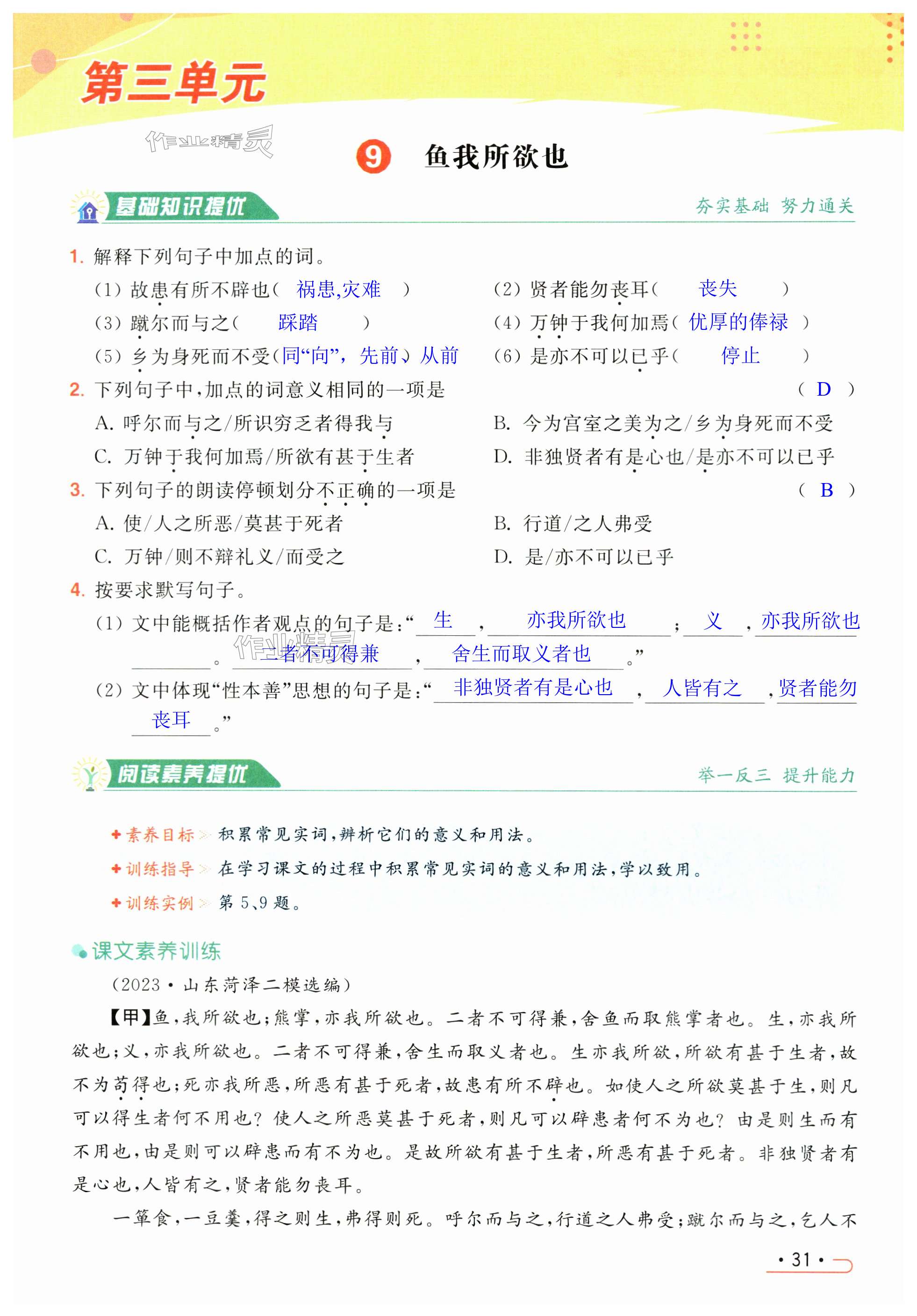 第31页