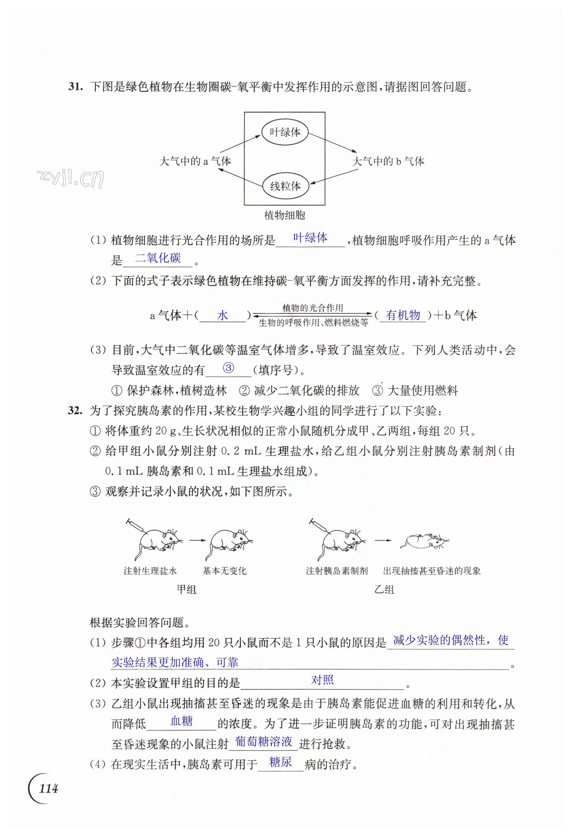 第114頁