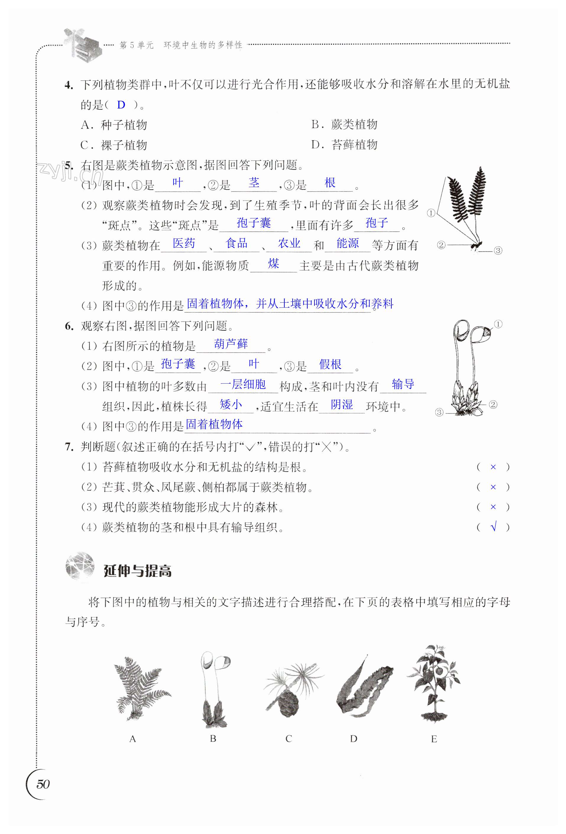 第50页