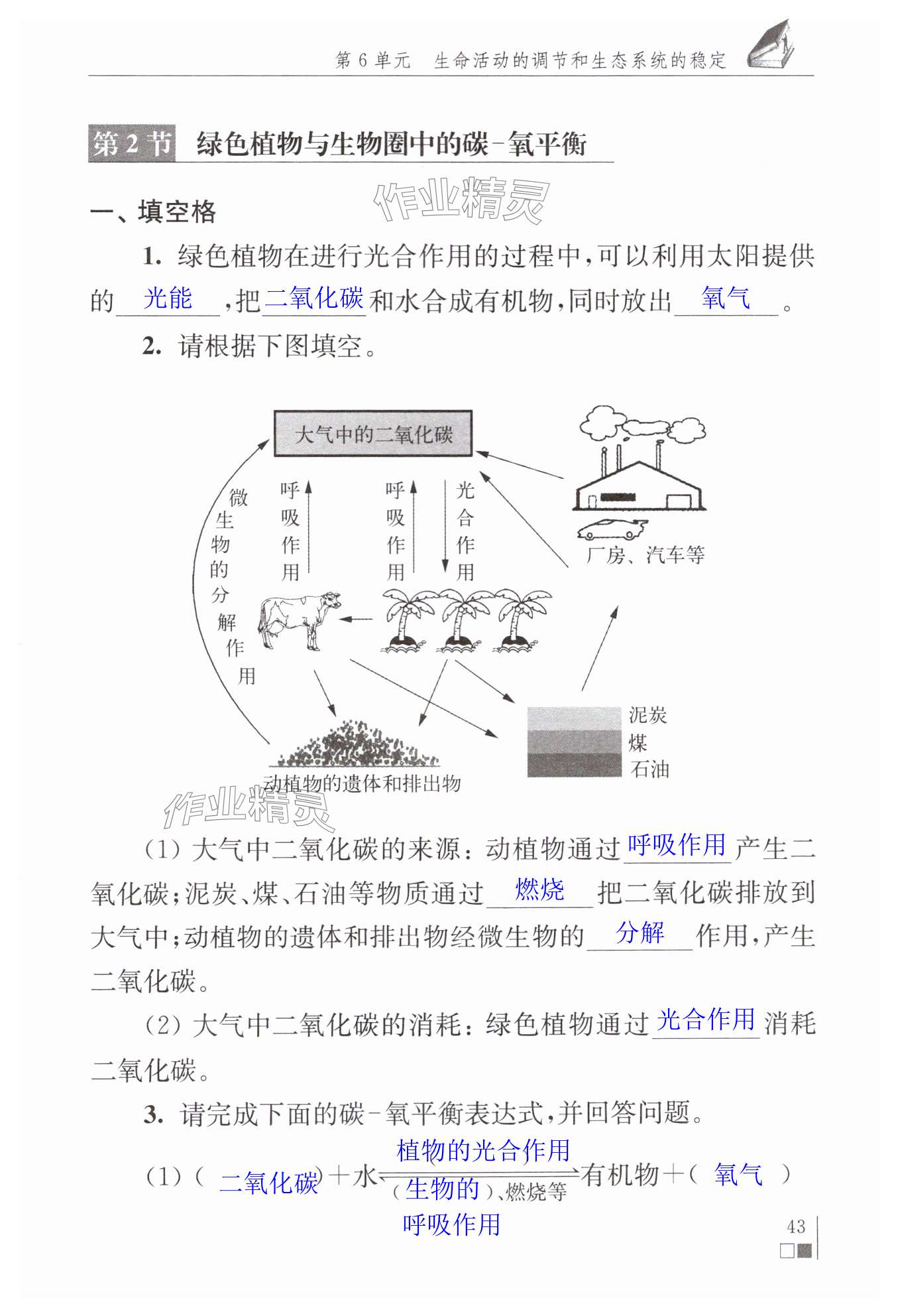 第43頁