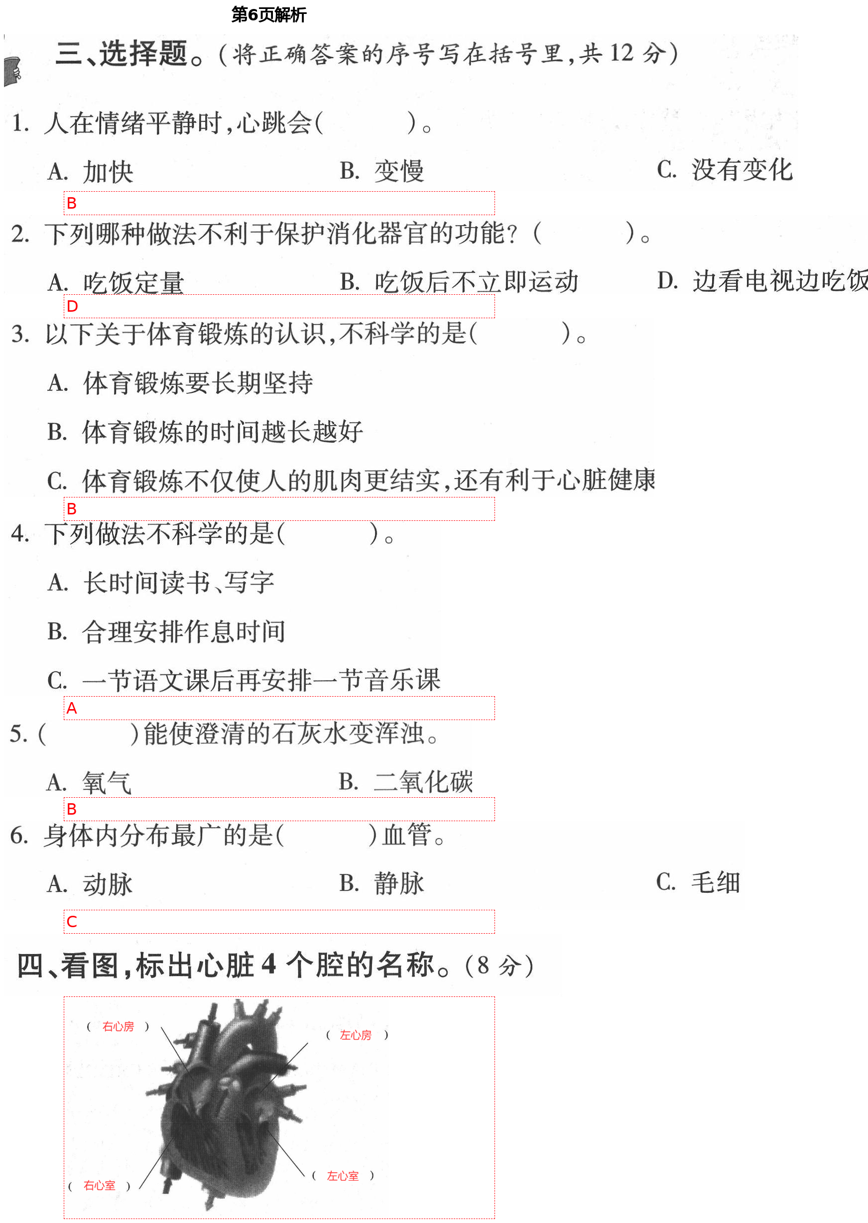 2021年單元自測(cè)試卷五年級(jí)科學(xué)下學(xué)期青島版 第6頁(yè)