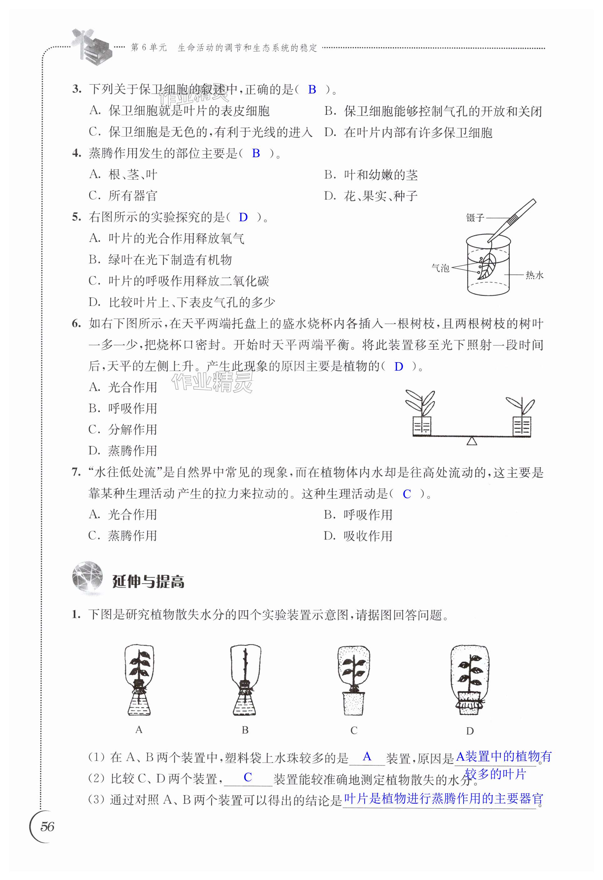 第56頁