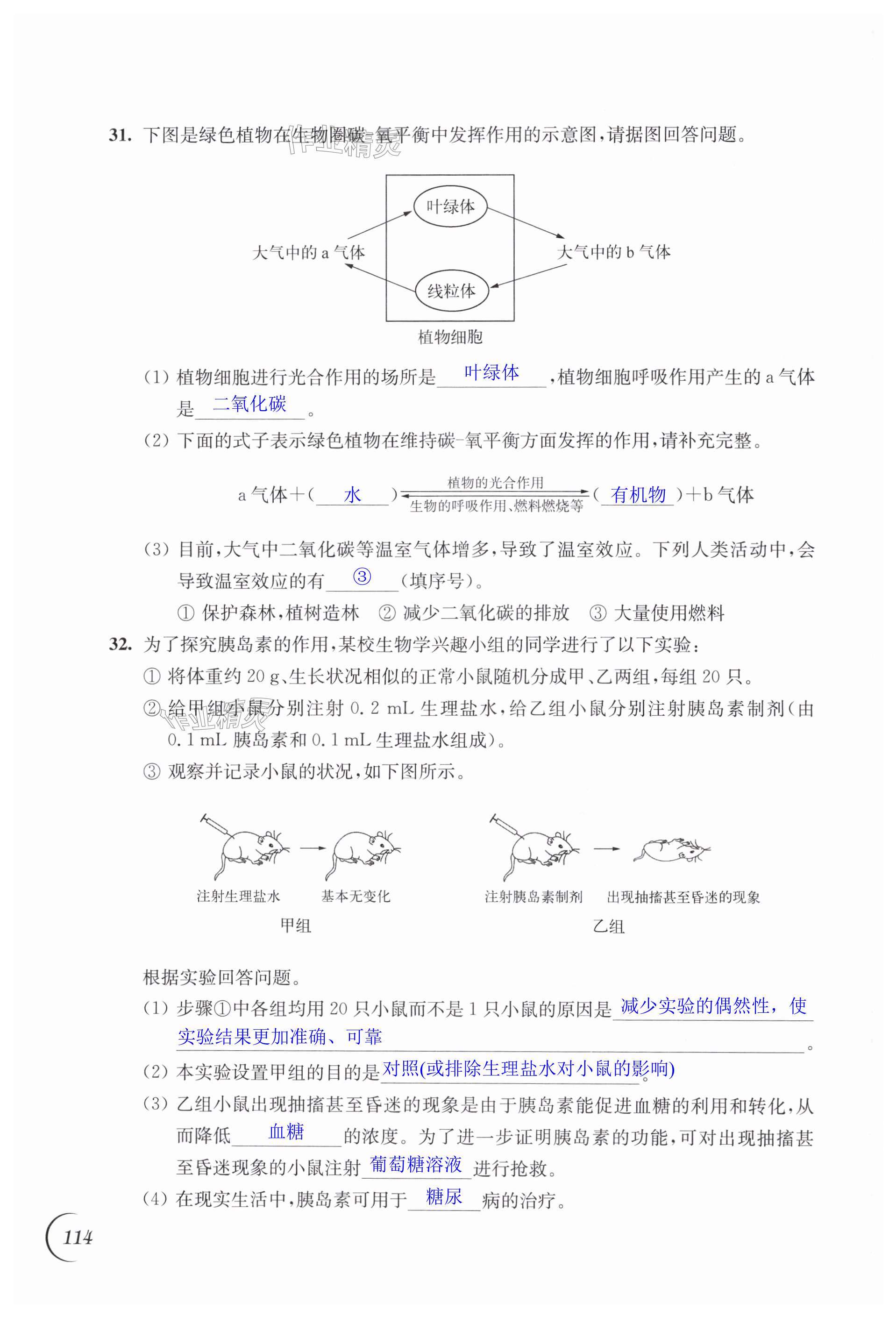 第114頁(yè)