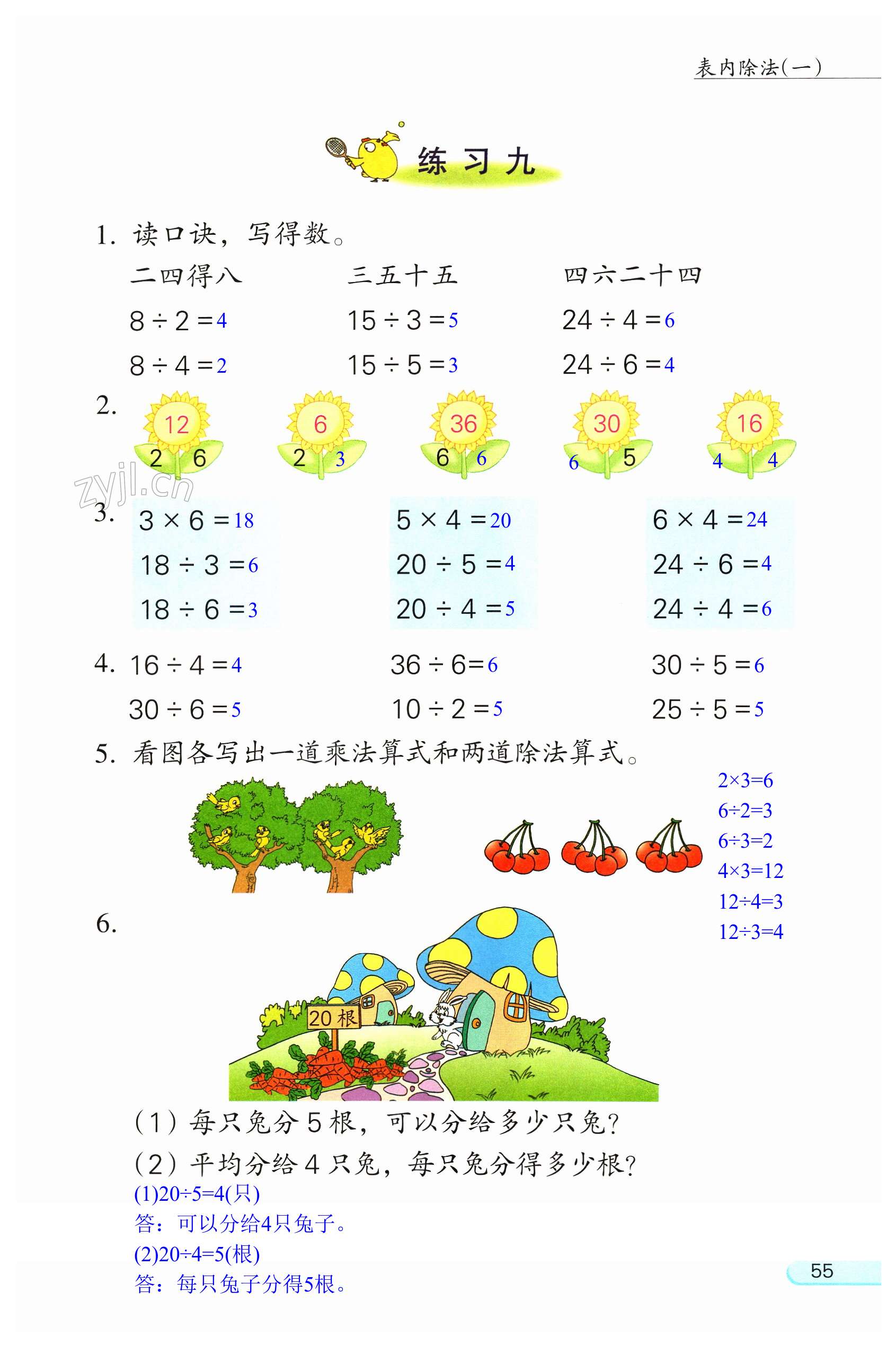 第55页