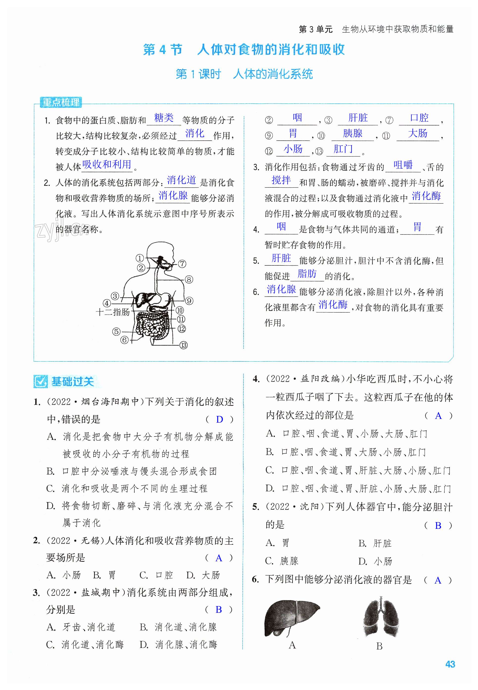 第43頁(yè)