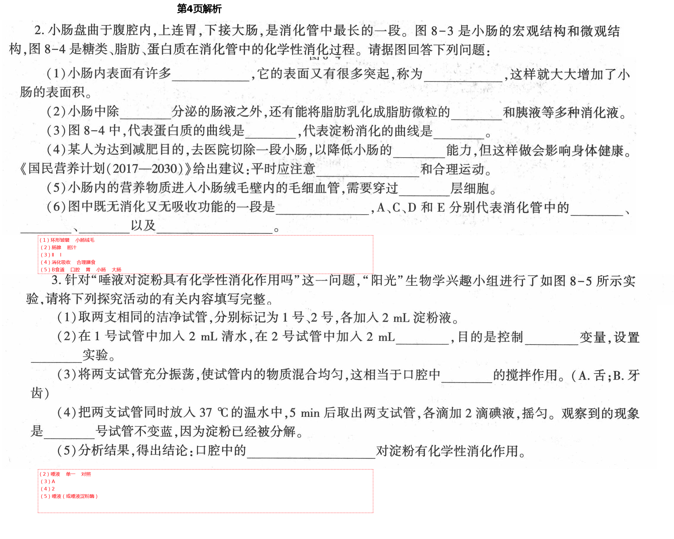 2021年基础训练七年级生物学下册北师大版大象出版社 第4页