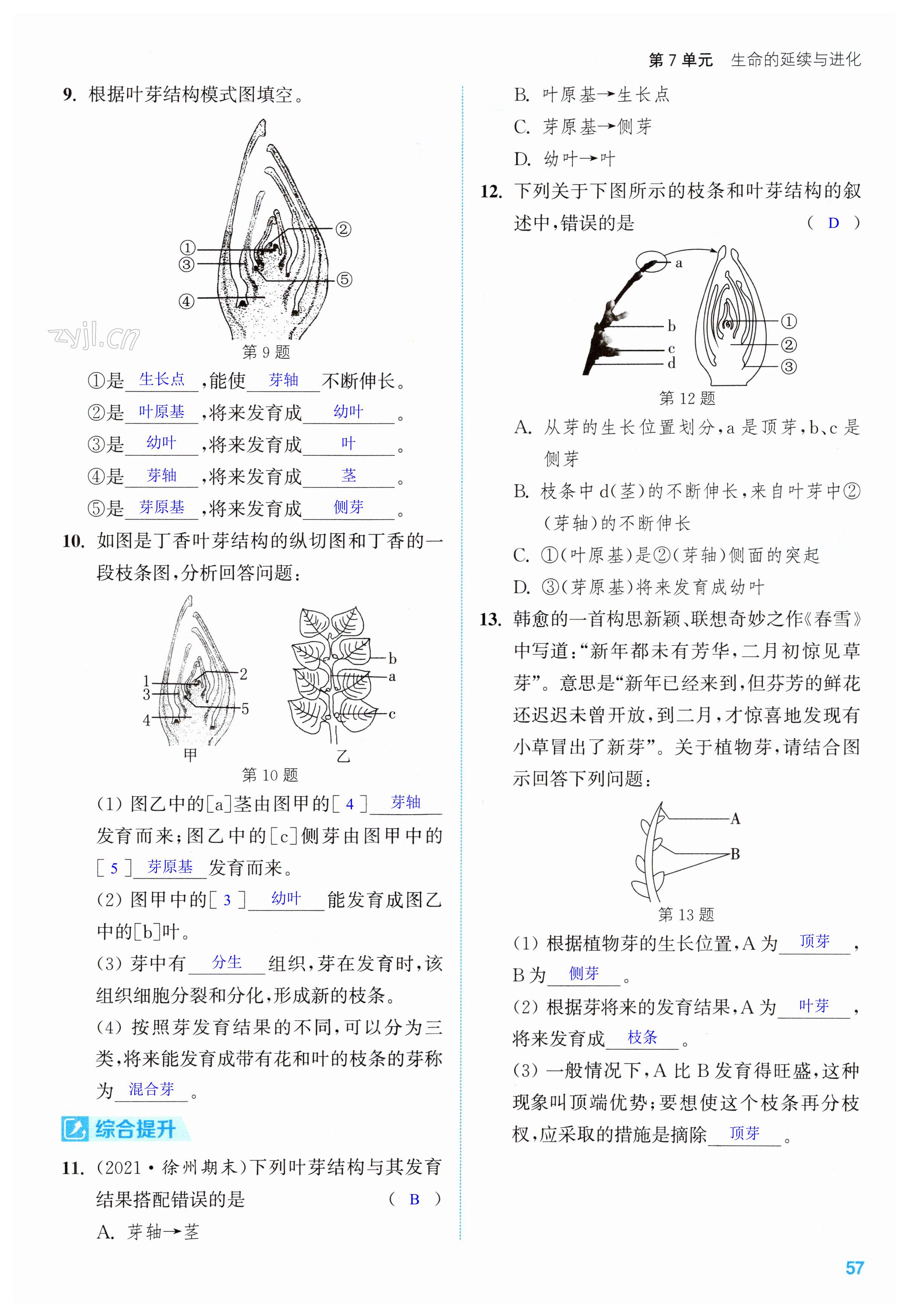 第57頁