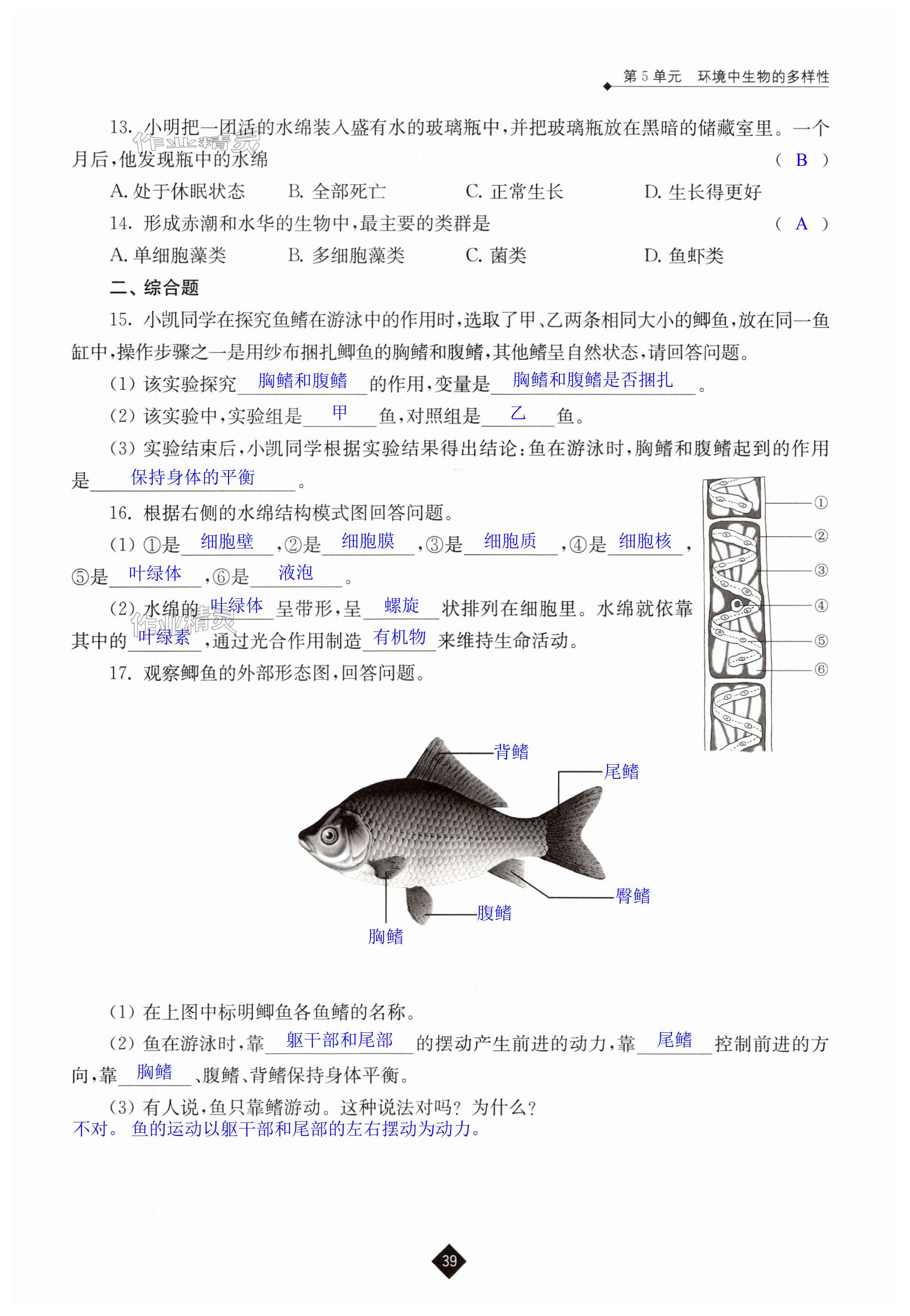 第39頁