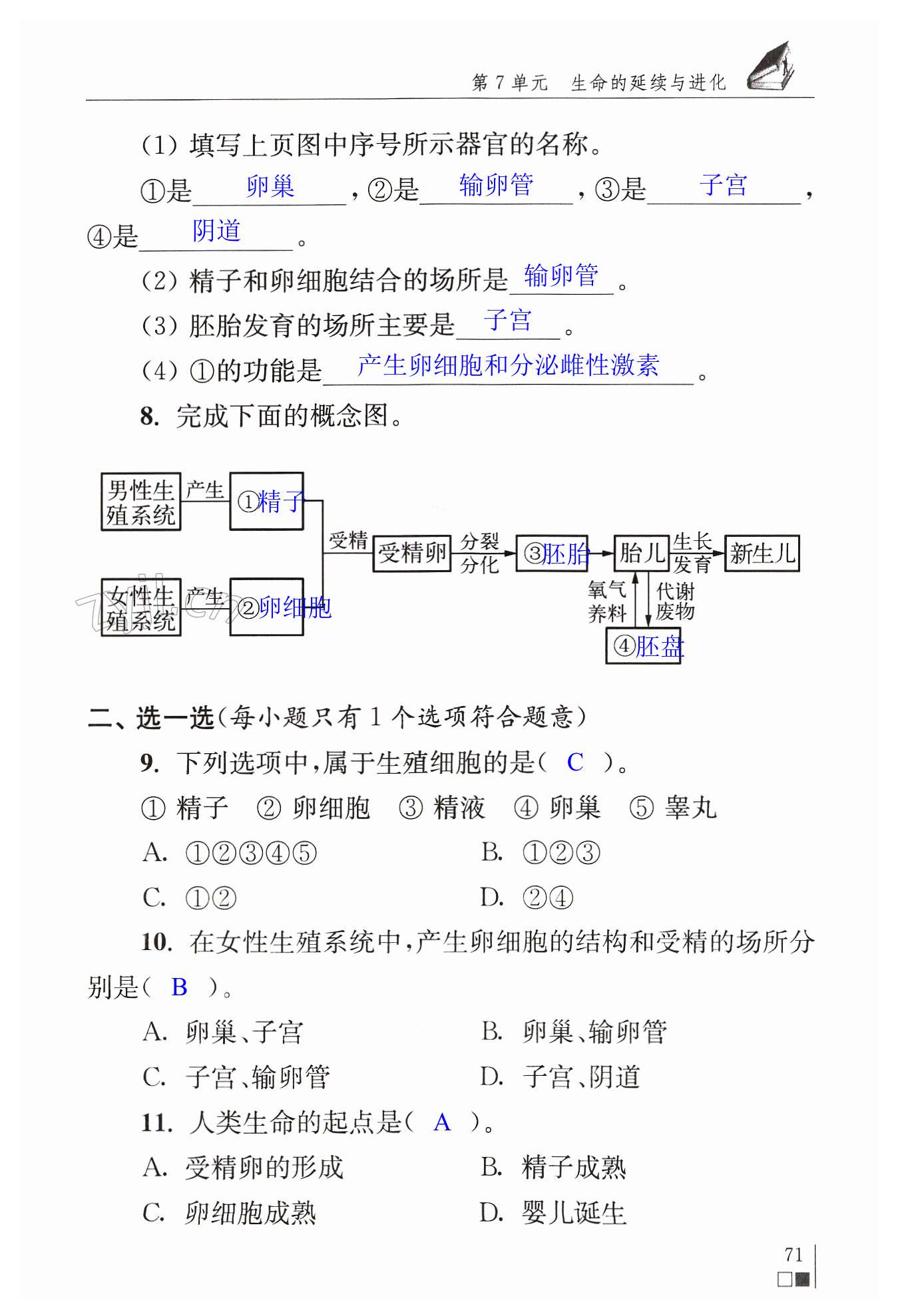 第71頁(yè)