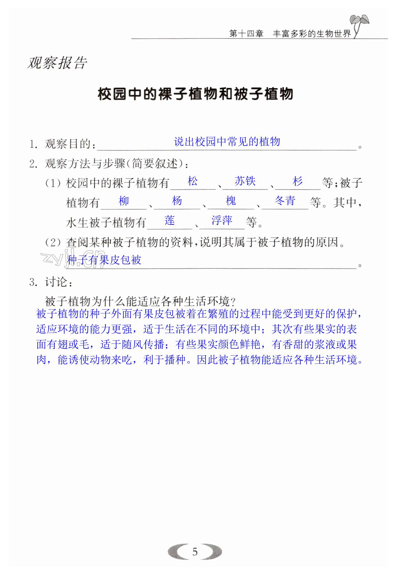 第5页