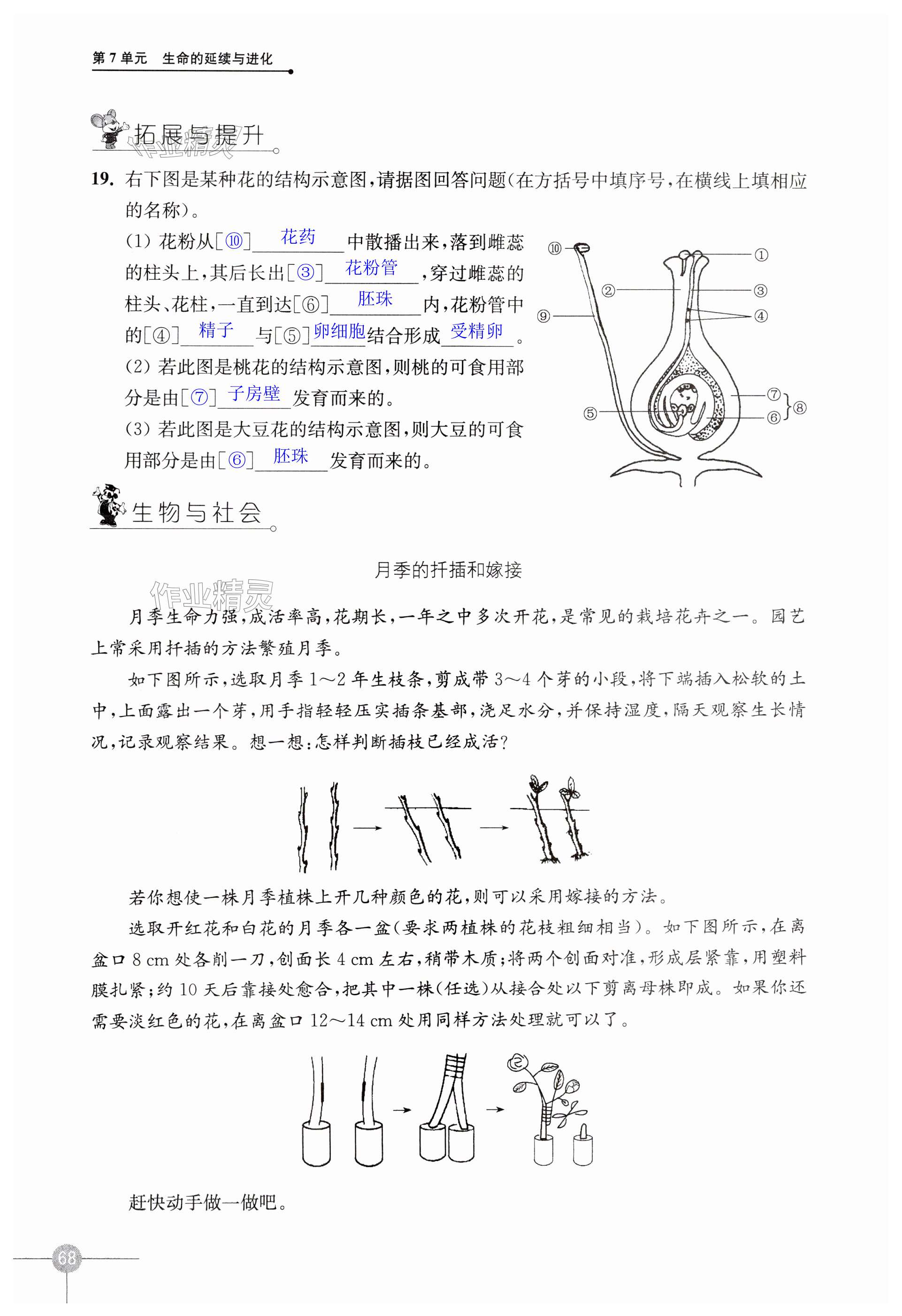 第68頁