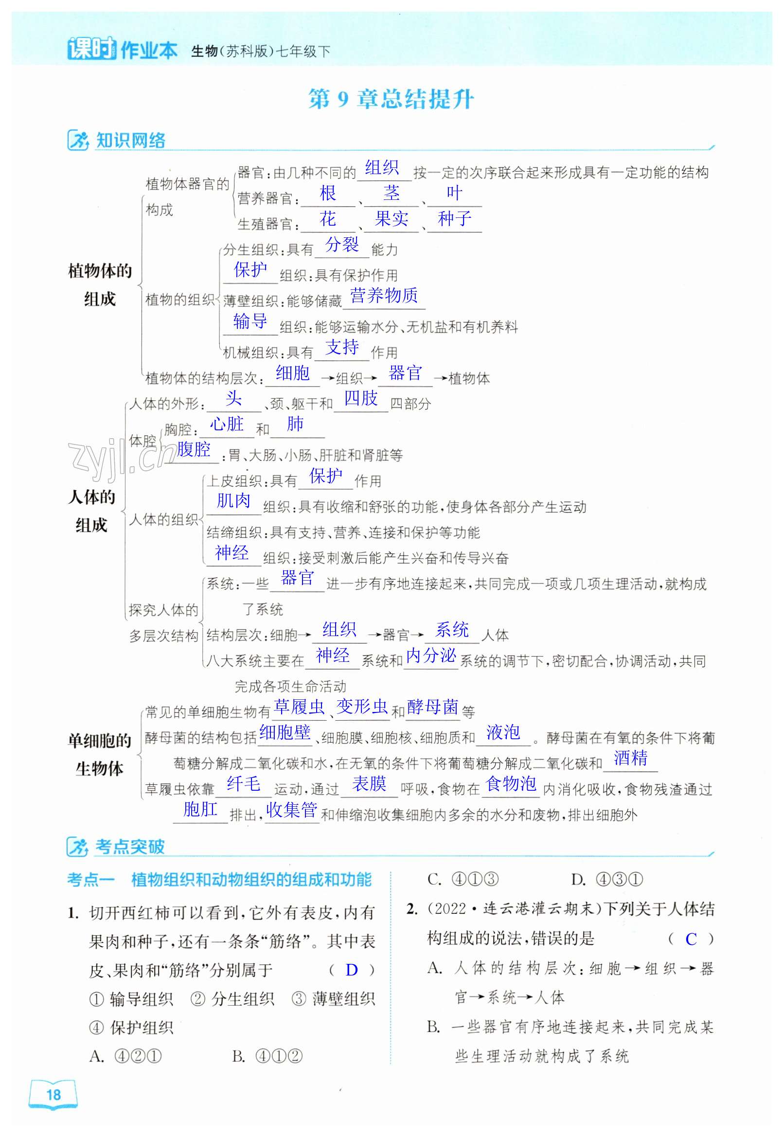 第18頁(yè)