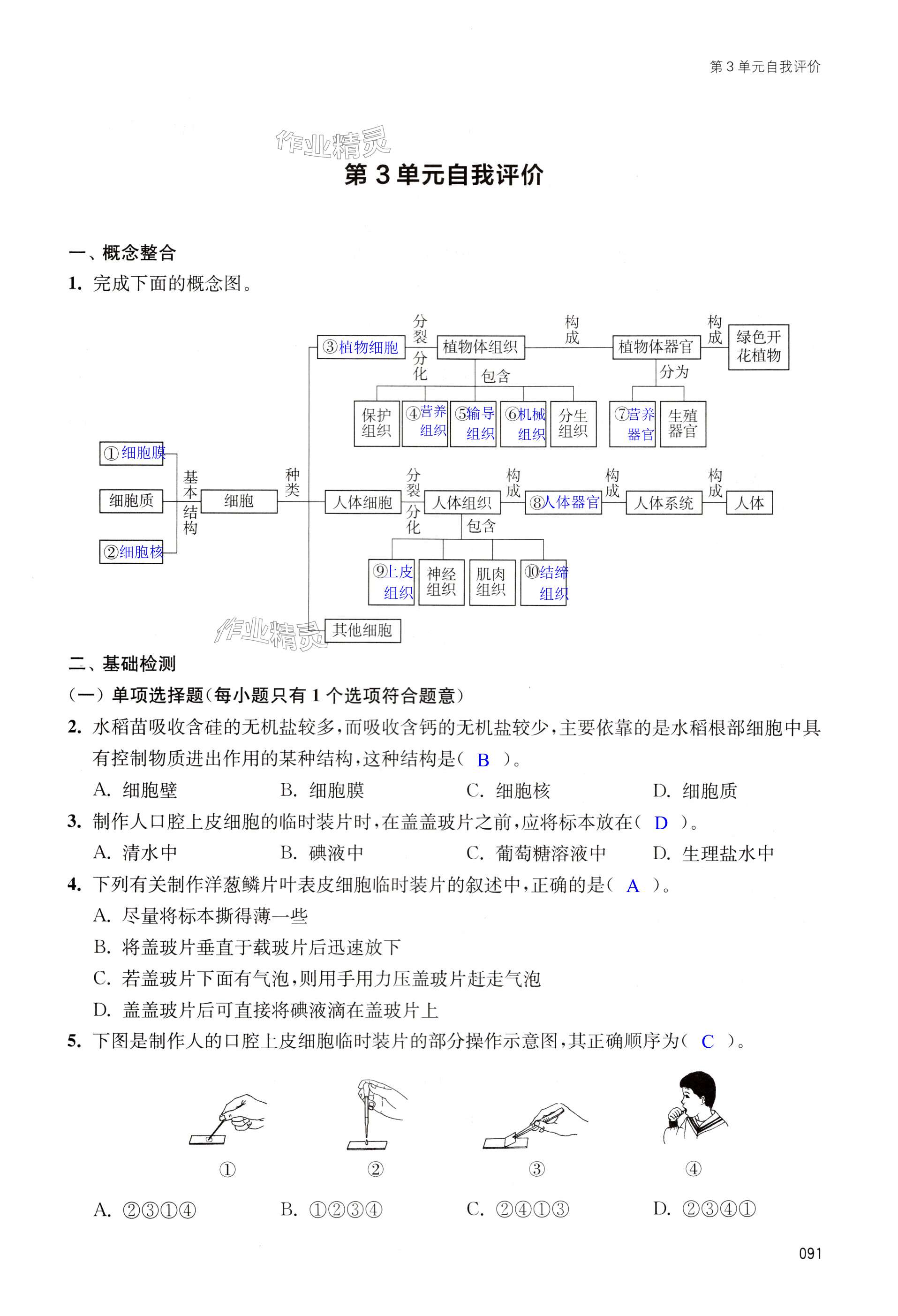 第91頁(yè)