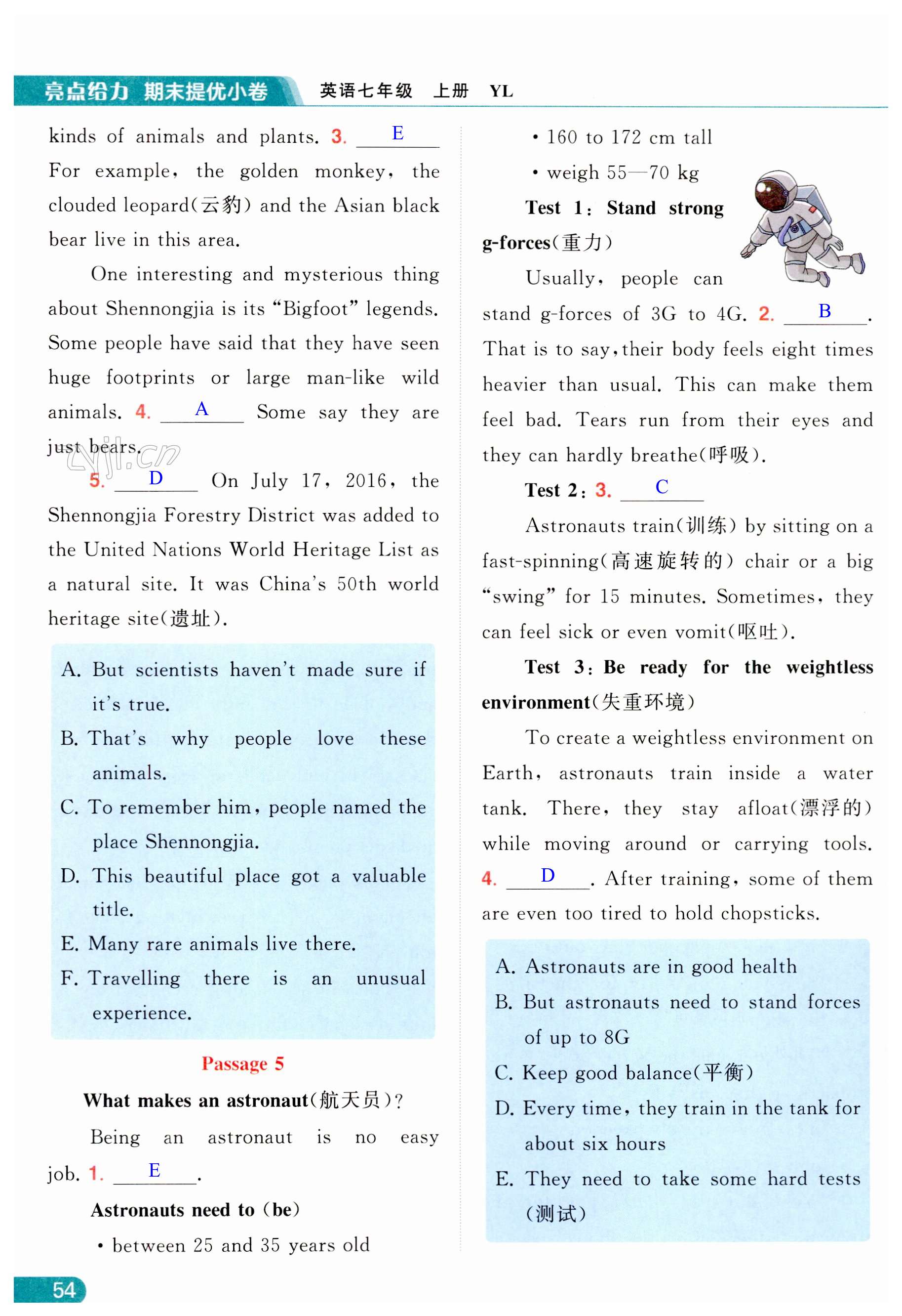 第54页