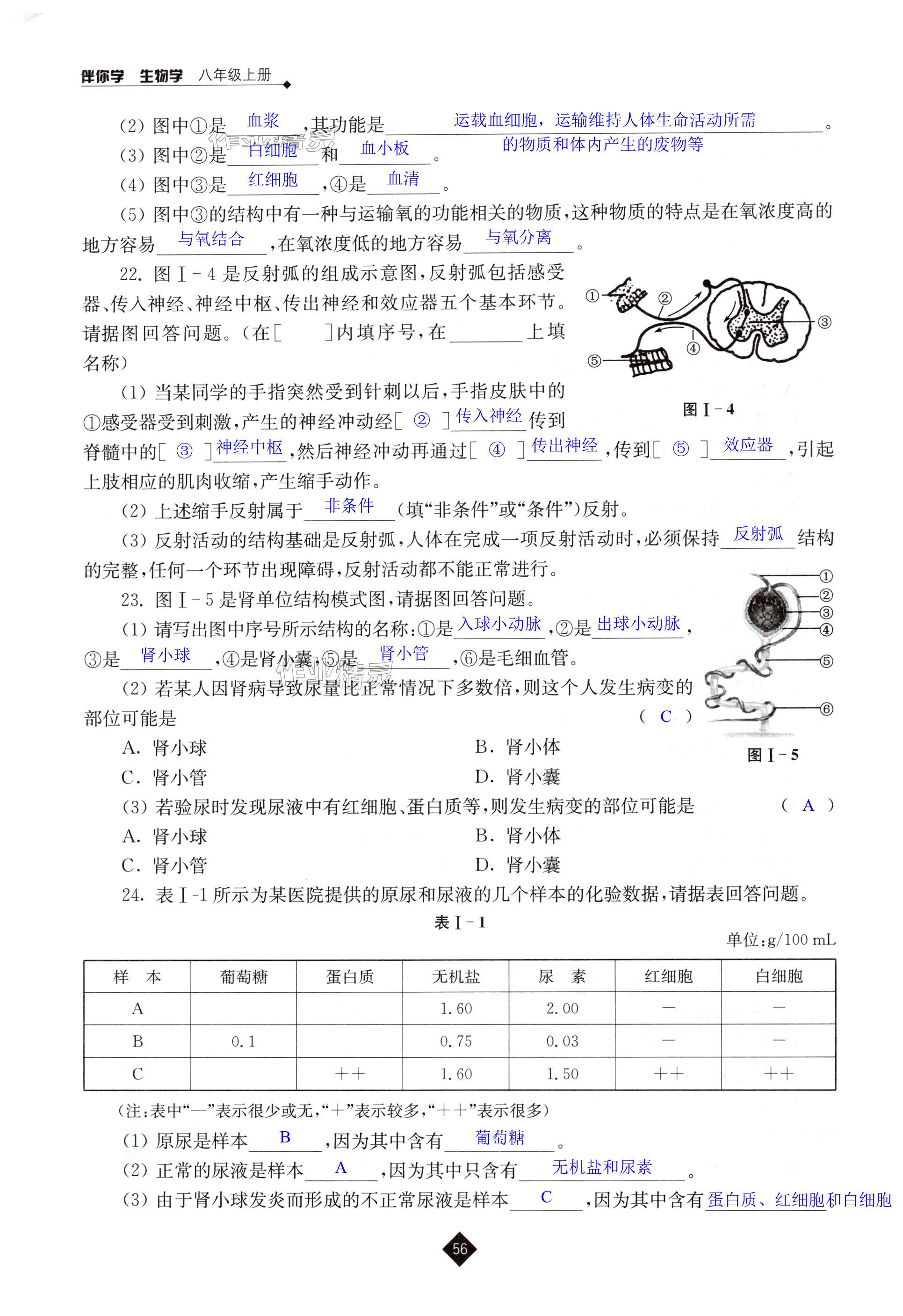 第56頁