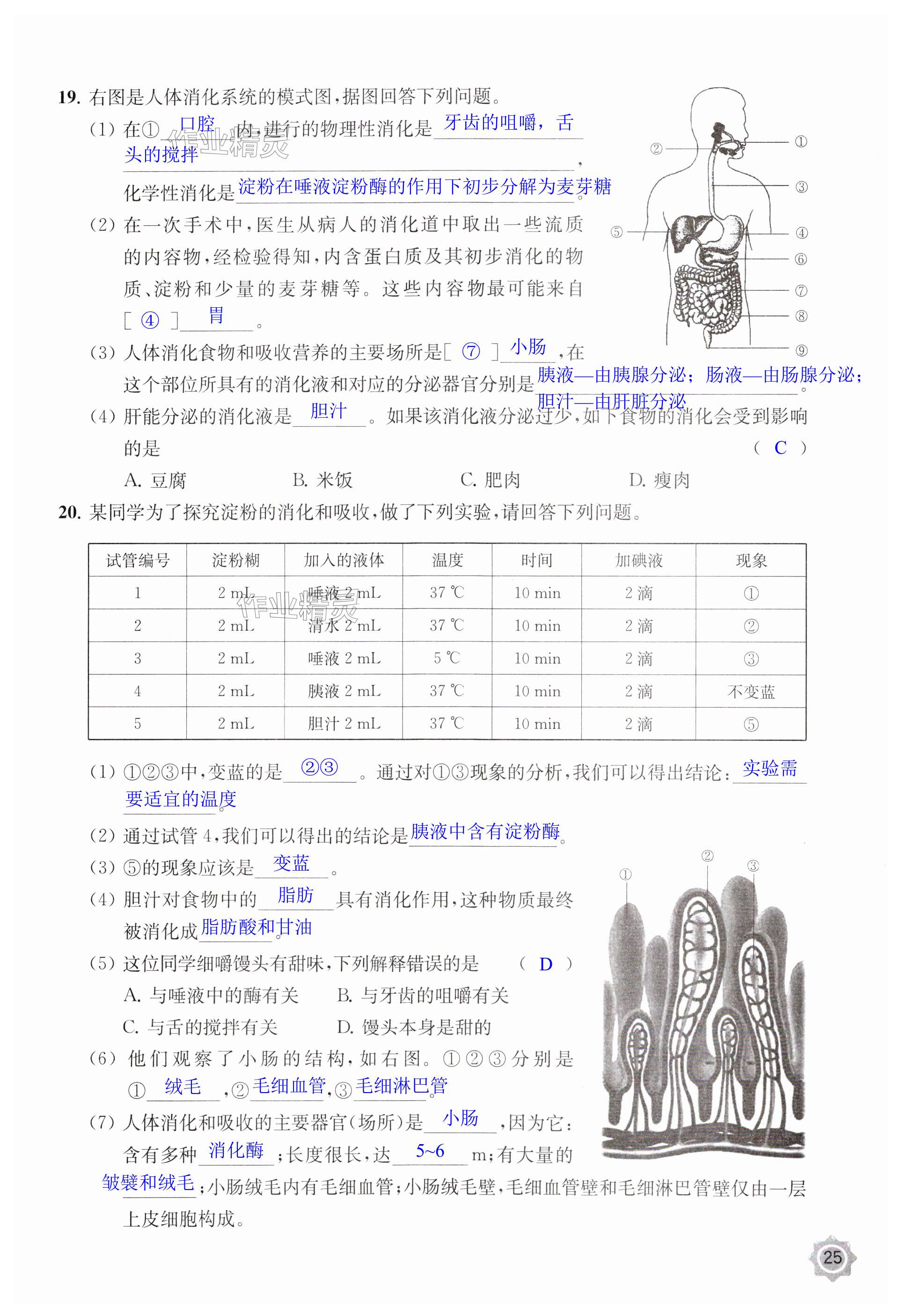 第25頁(yè)