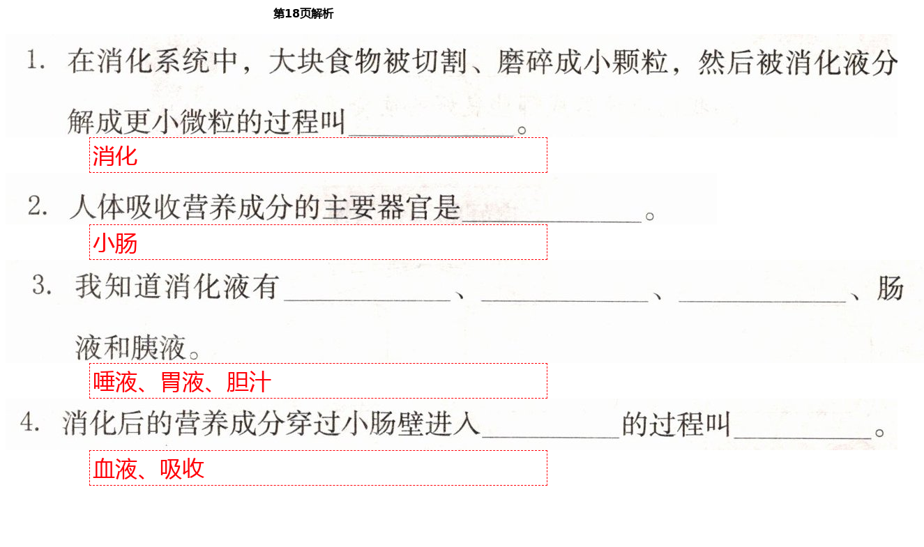 2021年科學(xué)學(xué)習(xí)與鞏固六年級(jí)下冊(cè)冀人版 第18頁(yè)