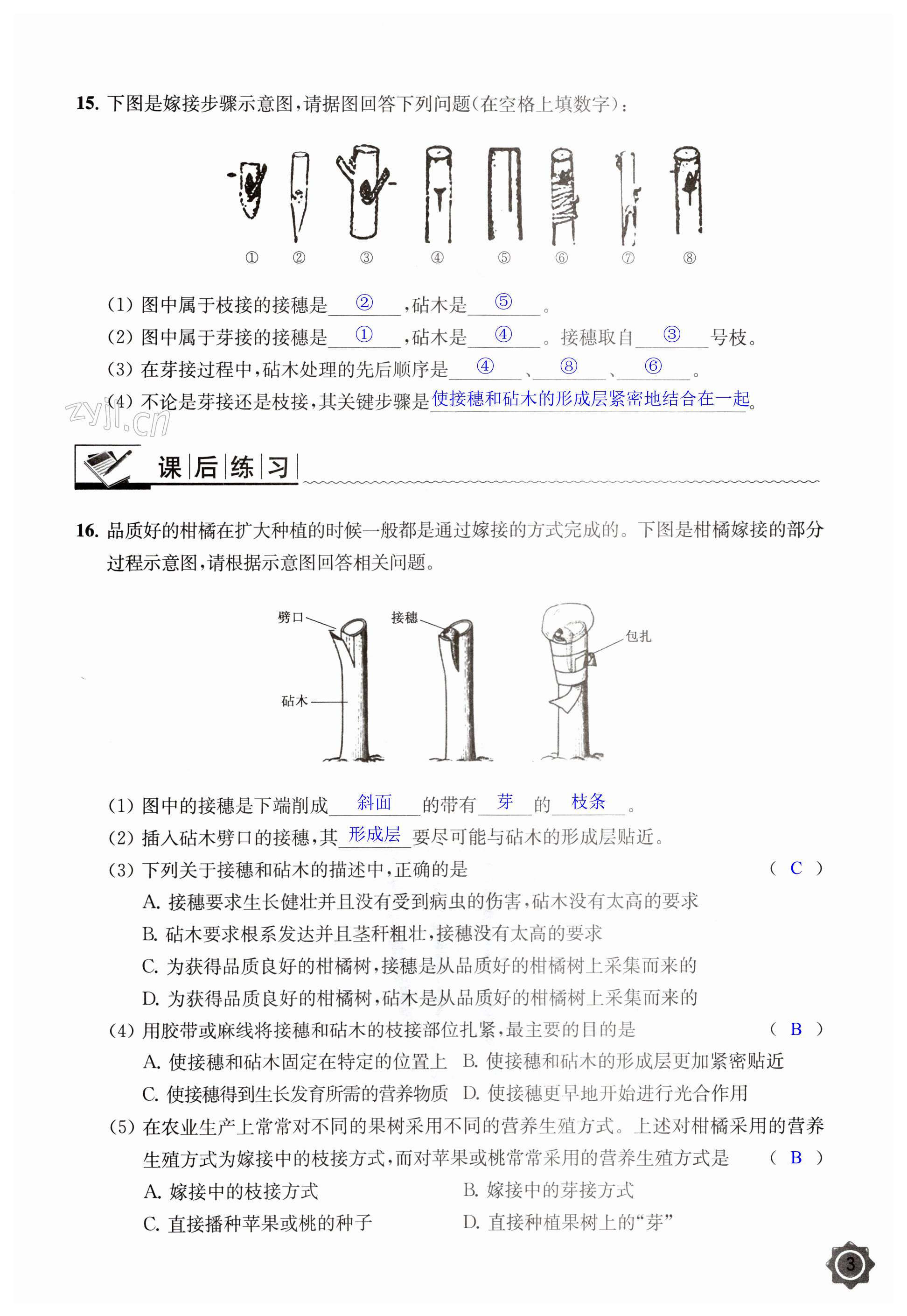 第3頁(yè)