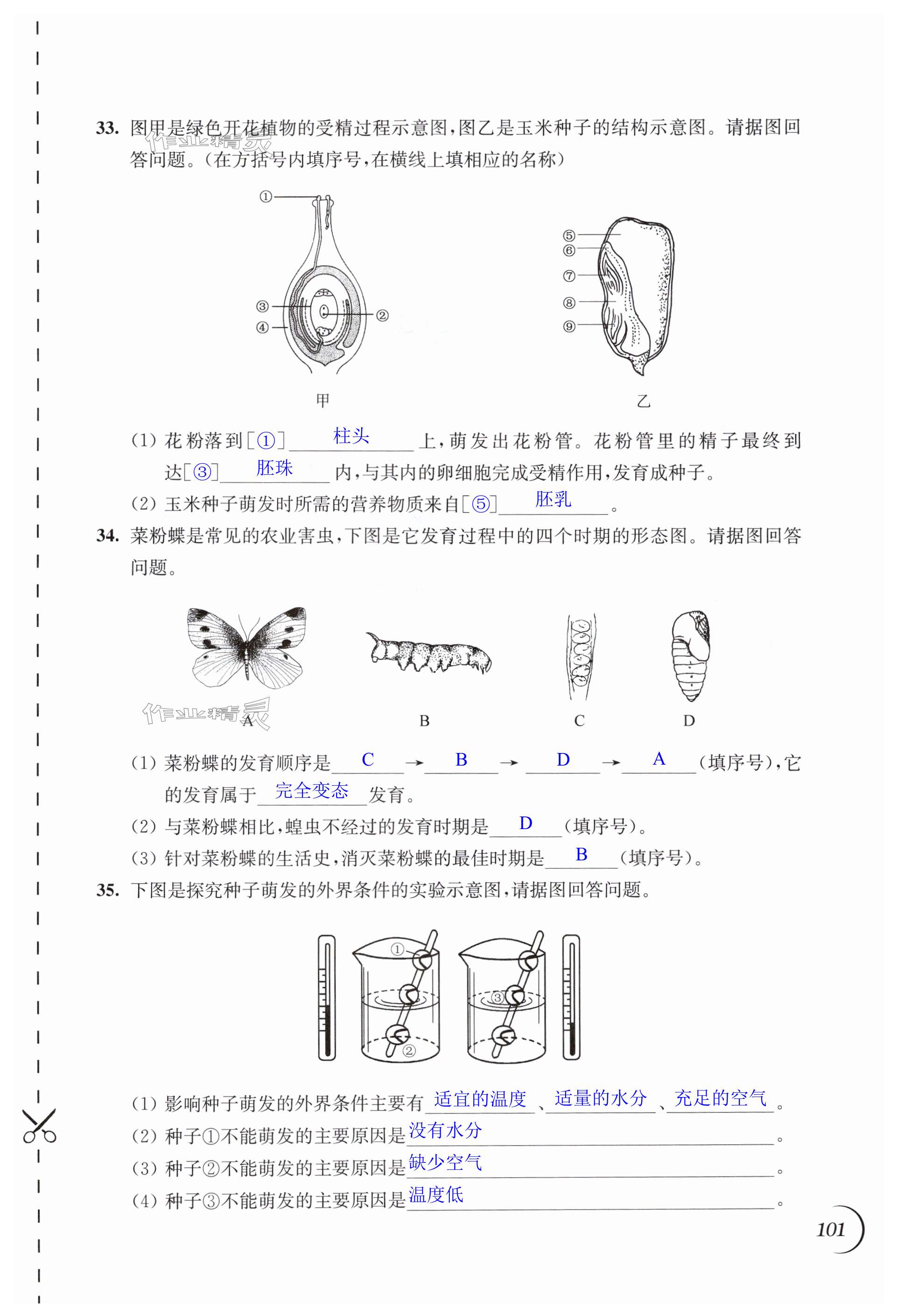 第101頁(yè)