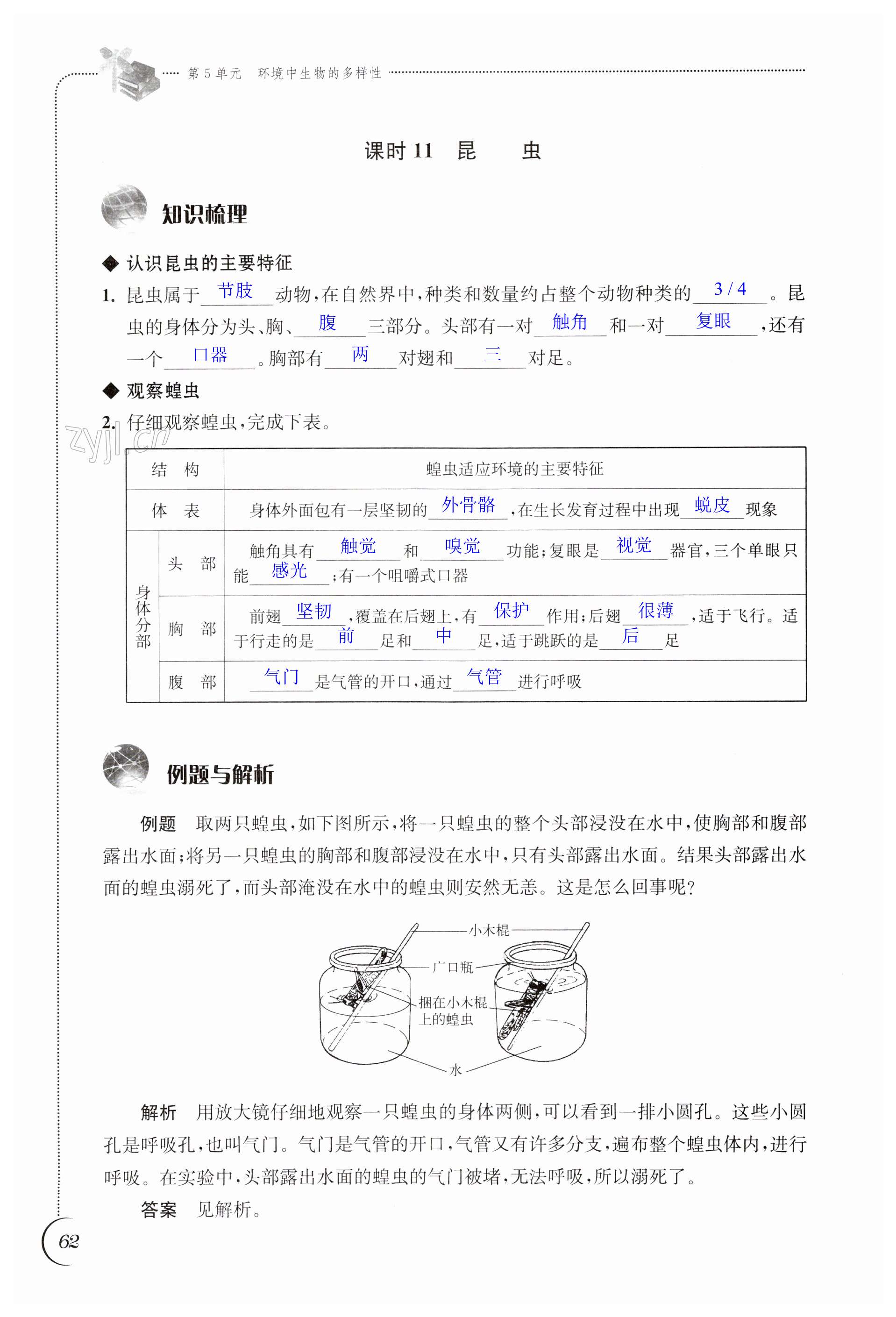 第62頁