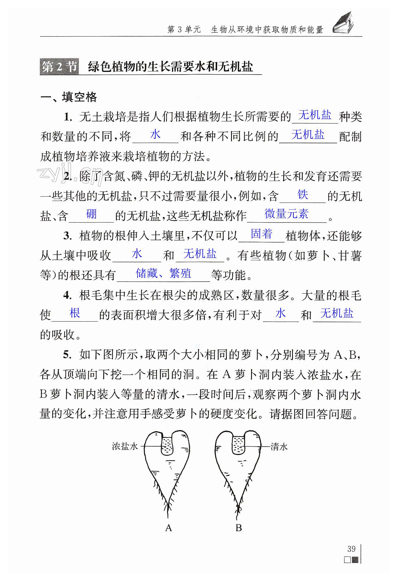 第39页