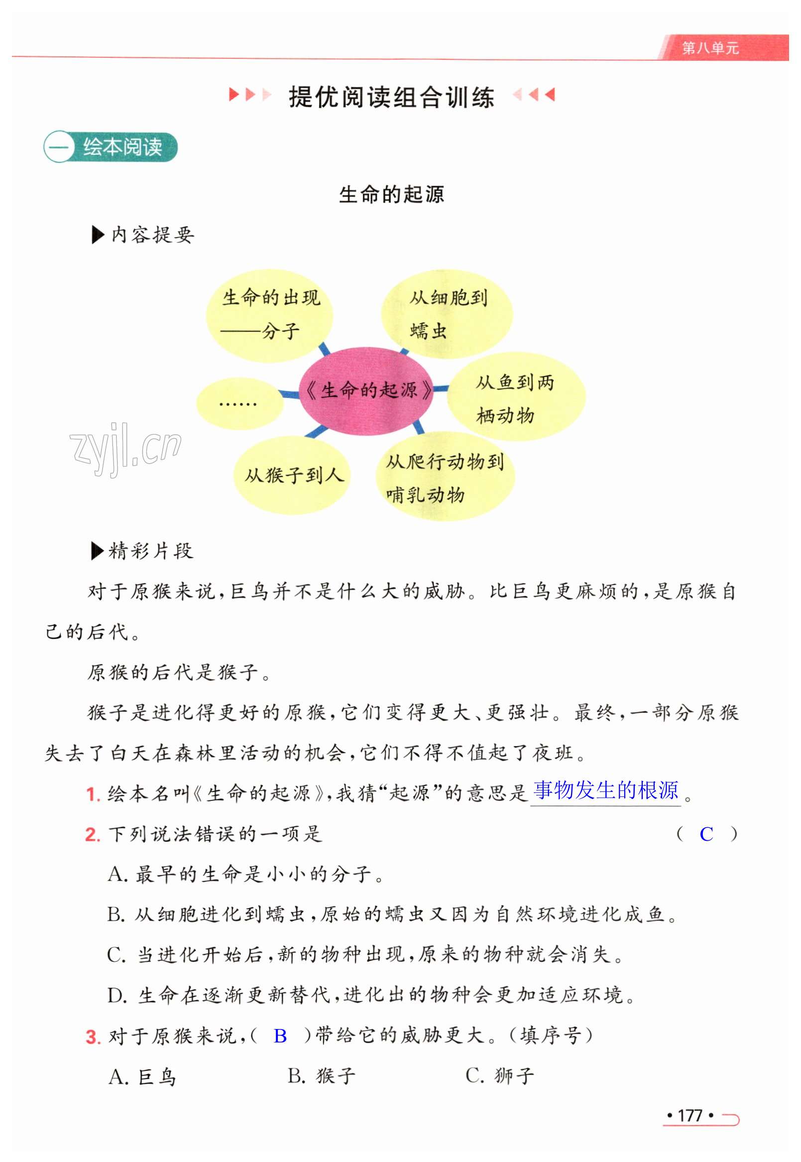 第177页