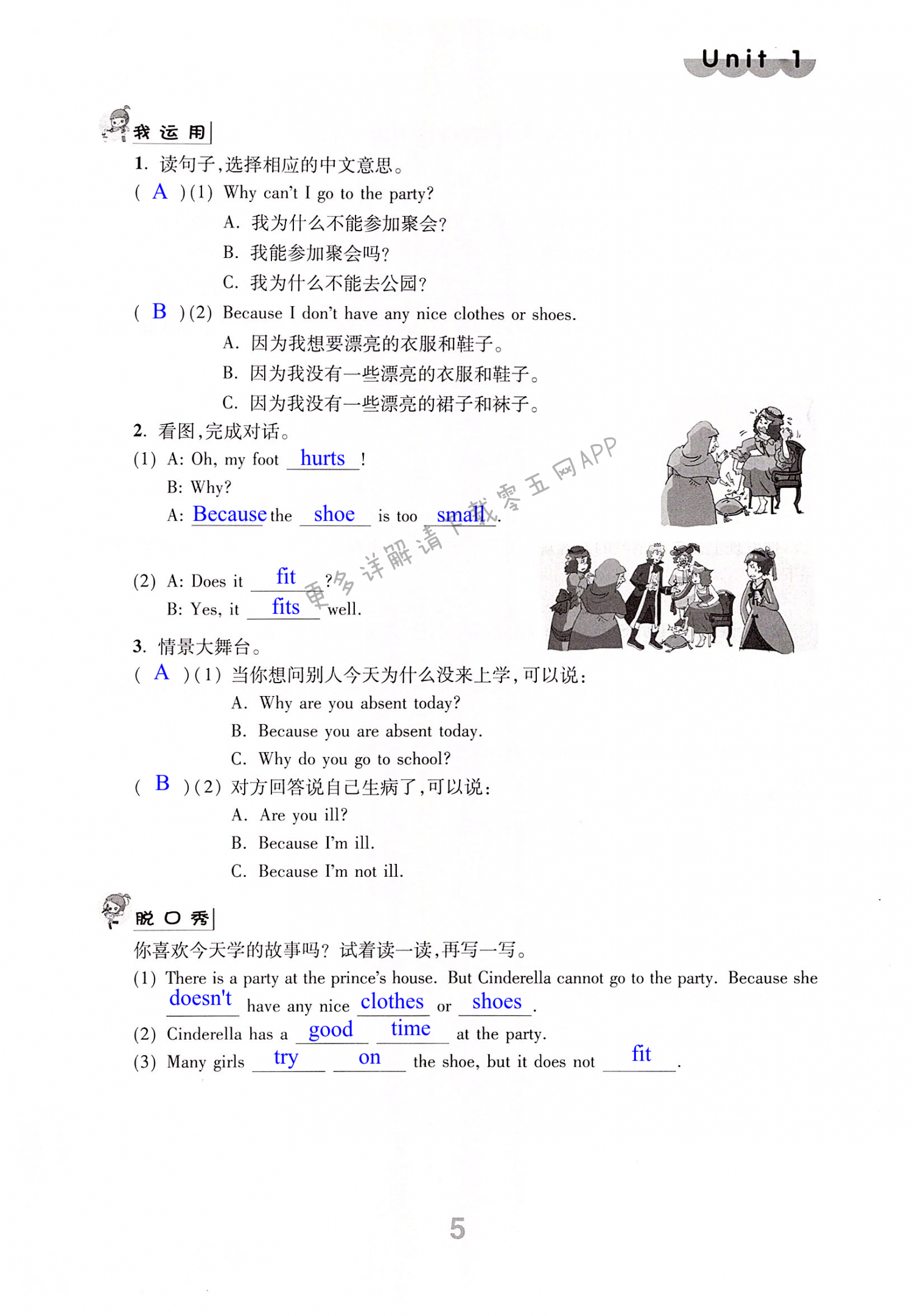 第5页