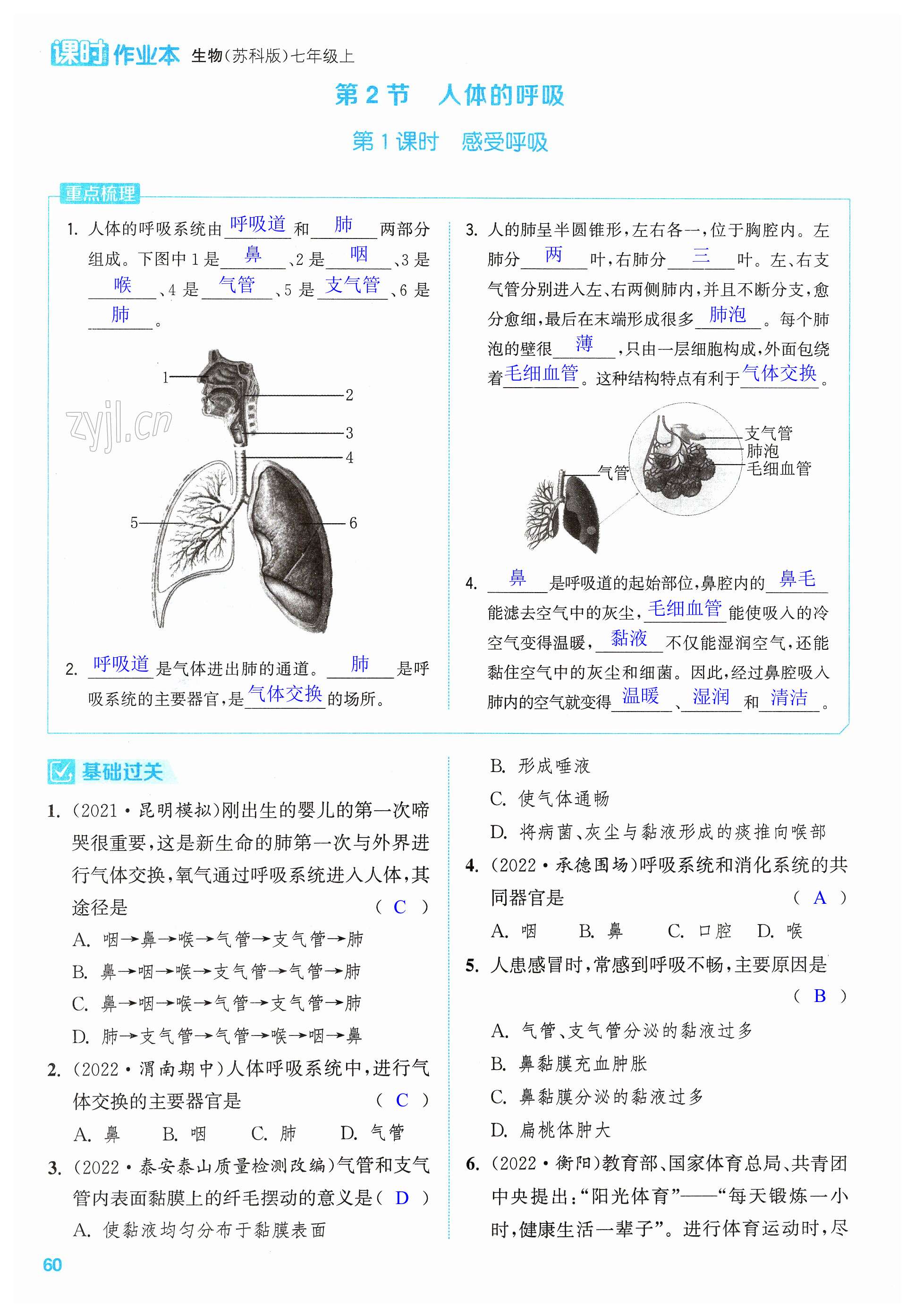 第60页