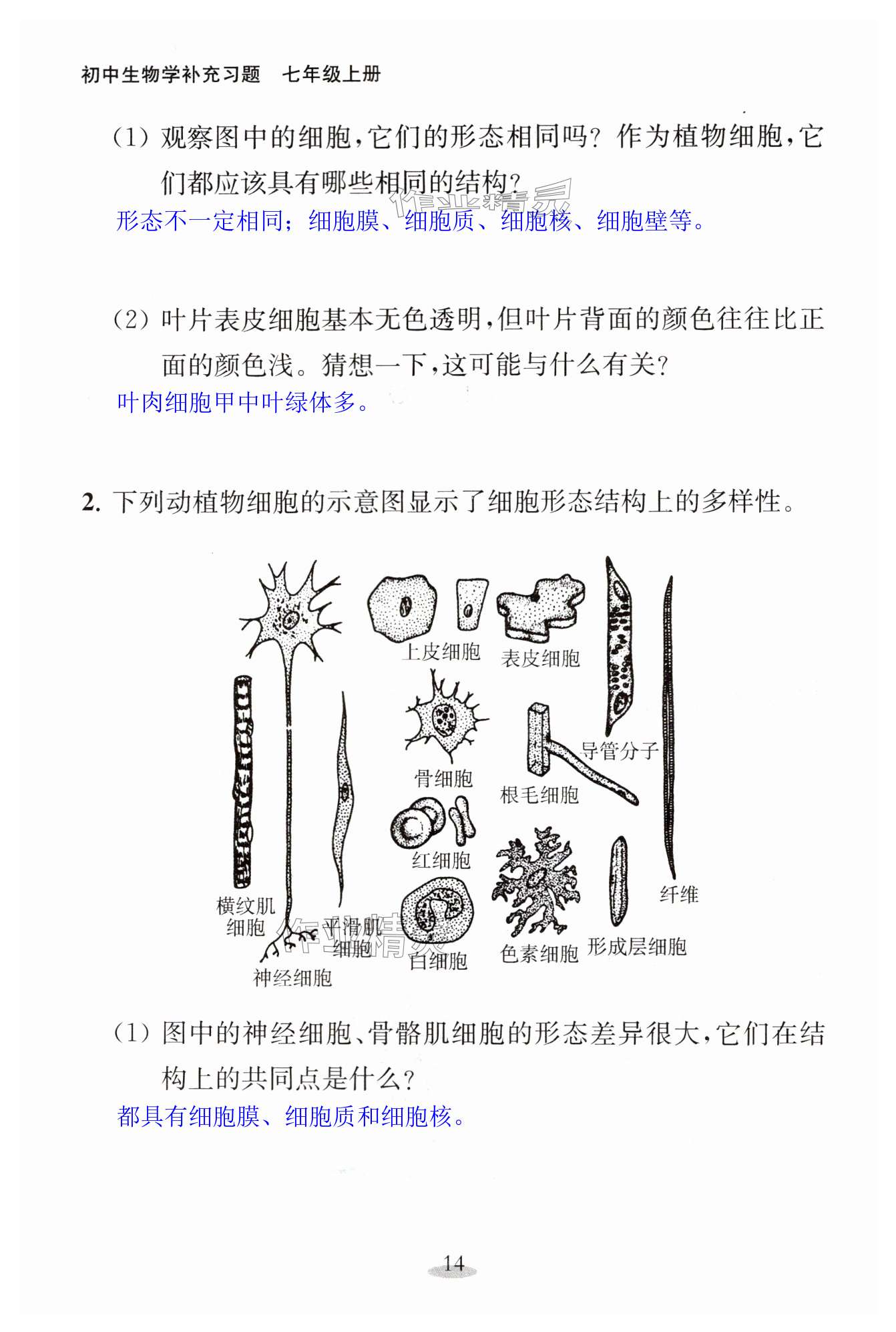 第14頁(yè)