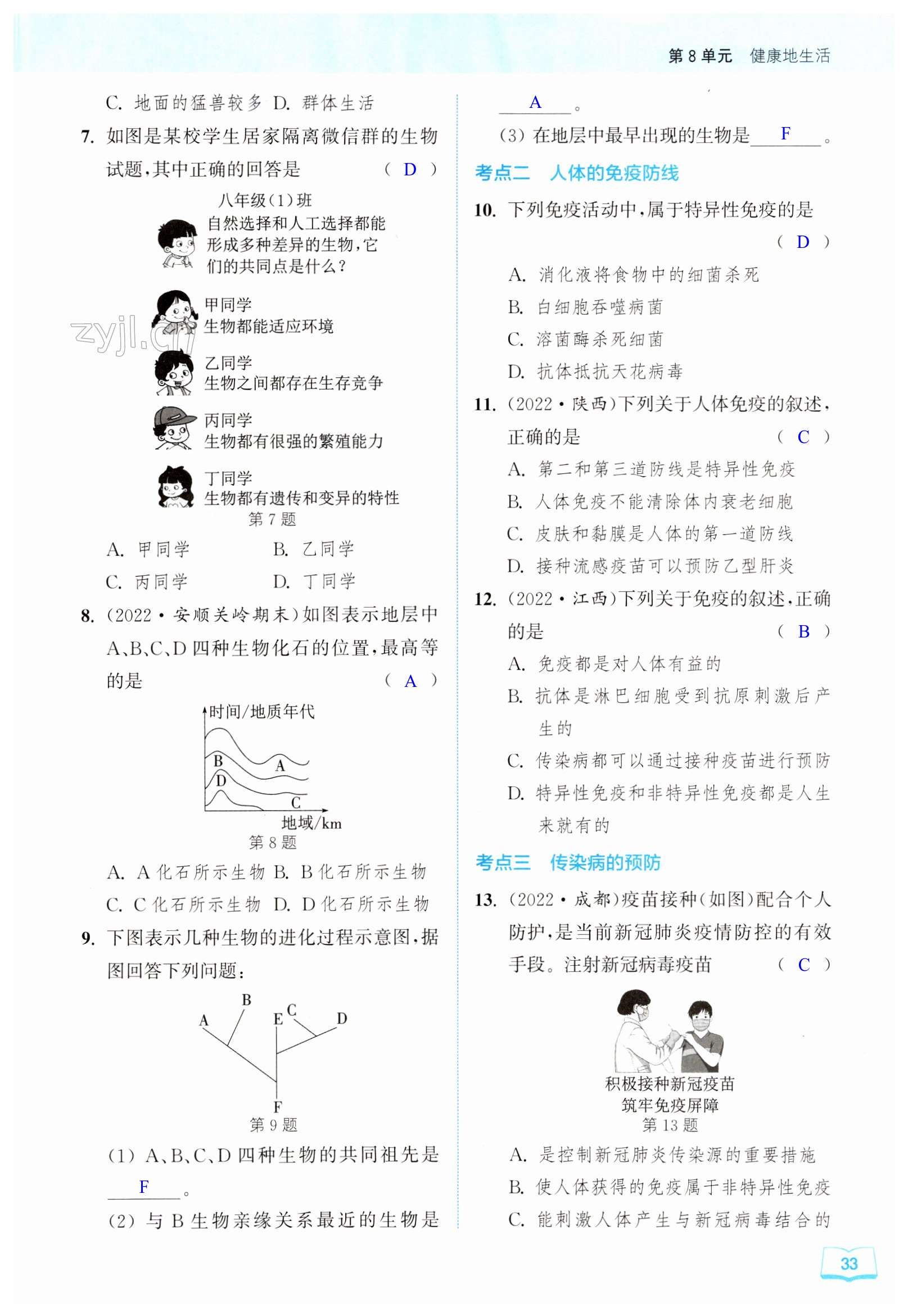 第33页