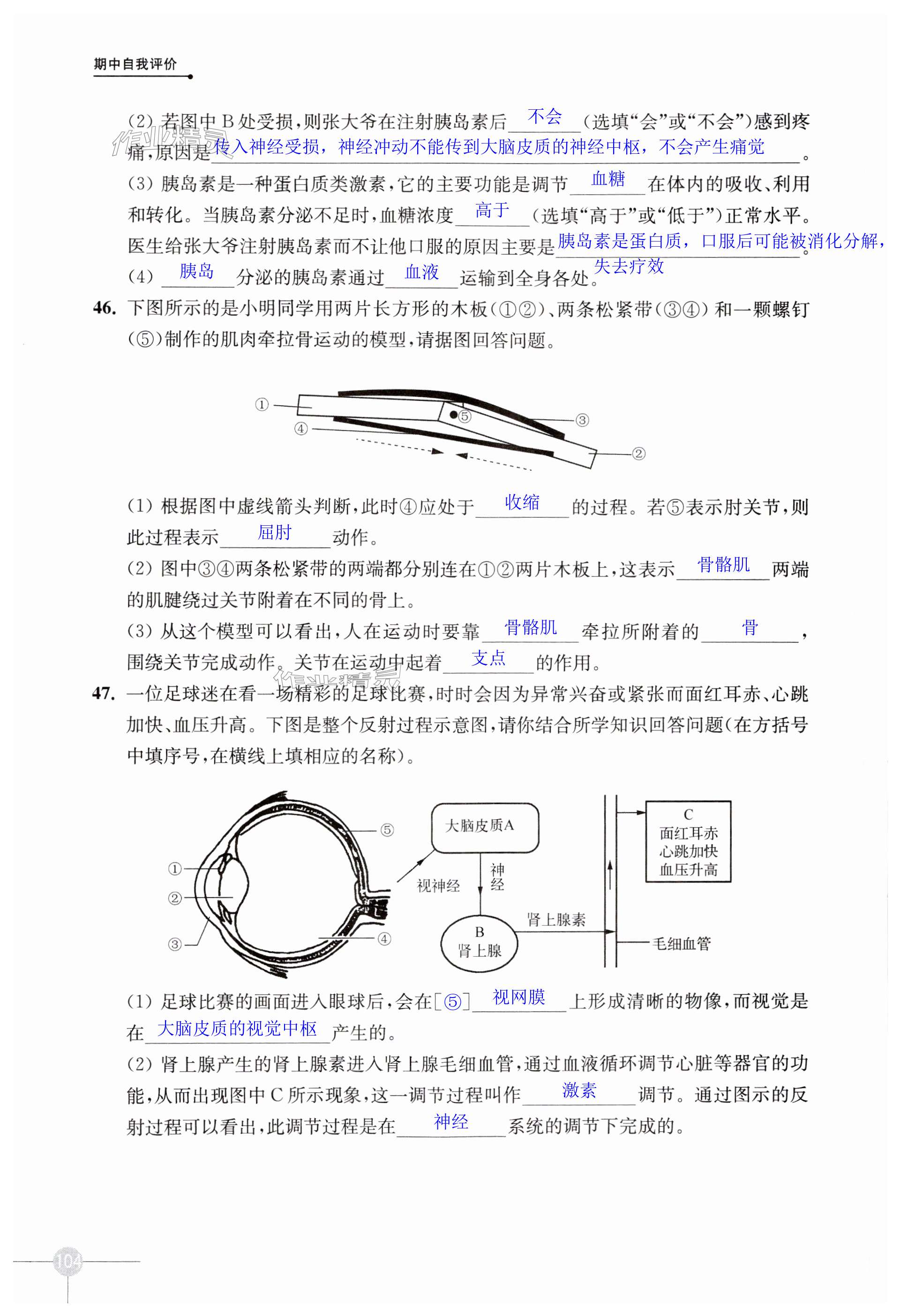 第104頁