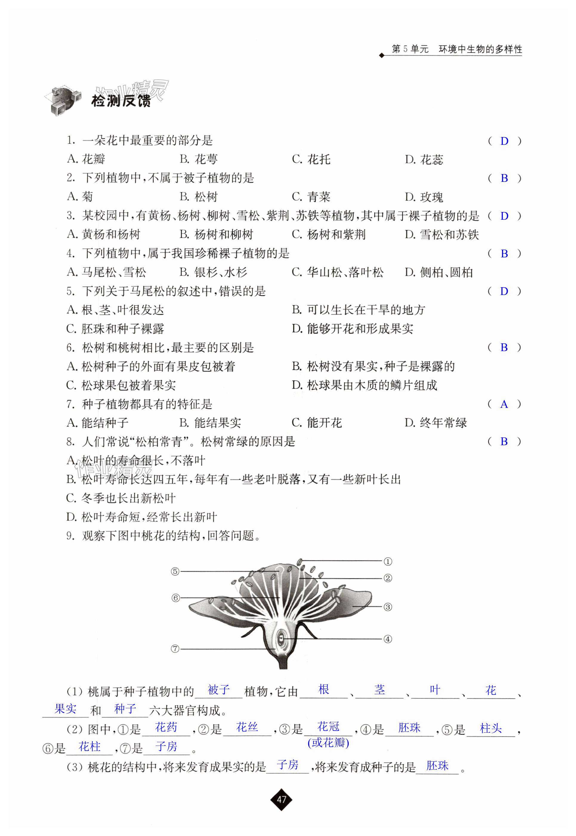 第47頁