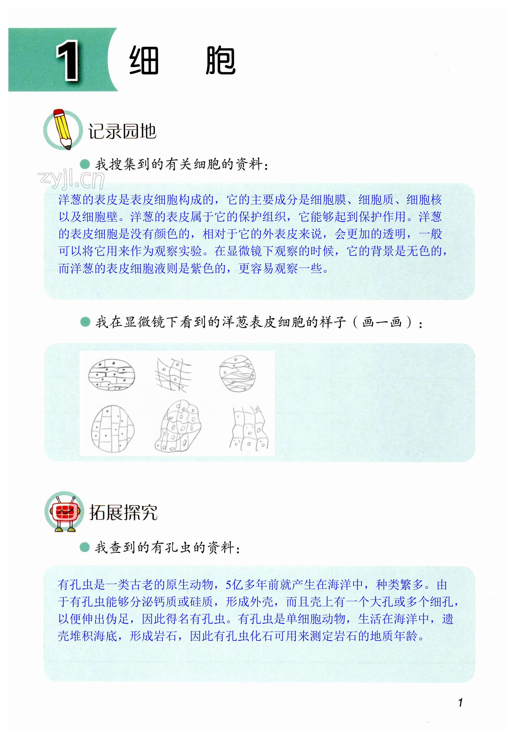 2023年學(xué)生活動(dòng)手冊(cè)六年級(jí)科學(xué)上冊(cè)青島版 第1頁(yè)