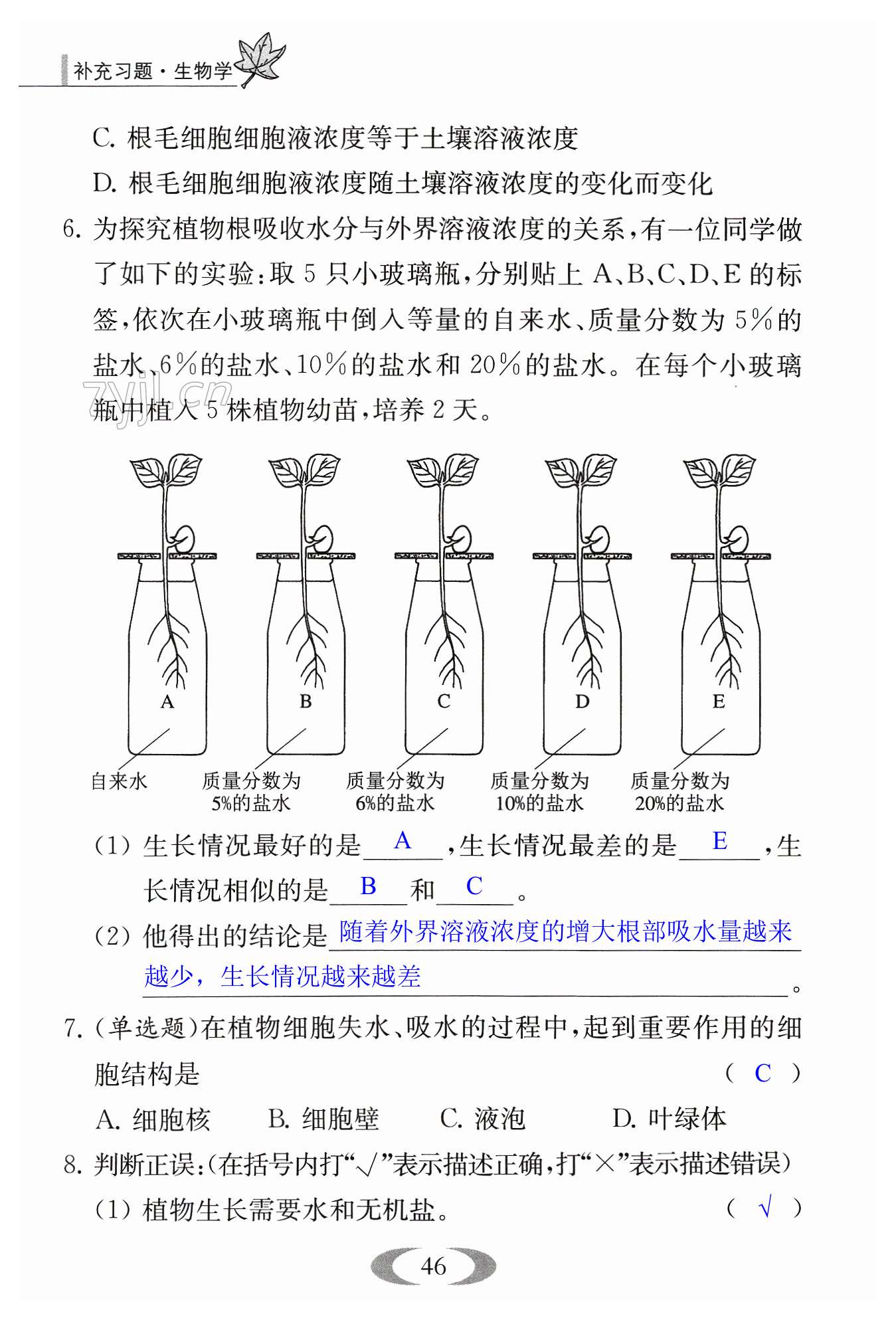 第46頁